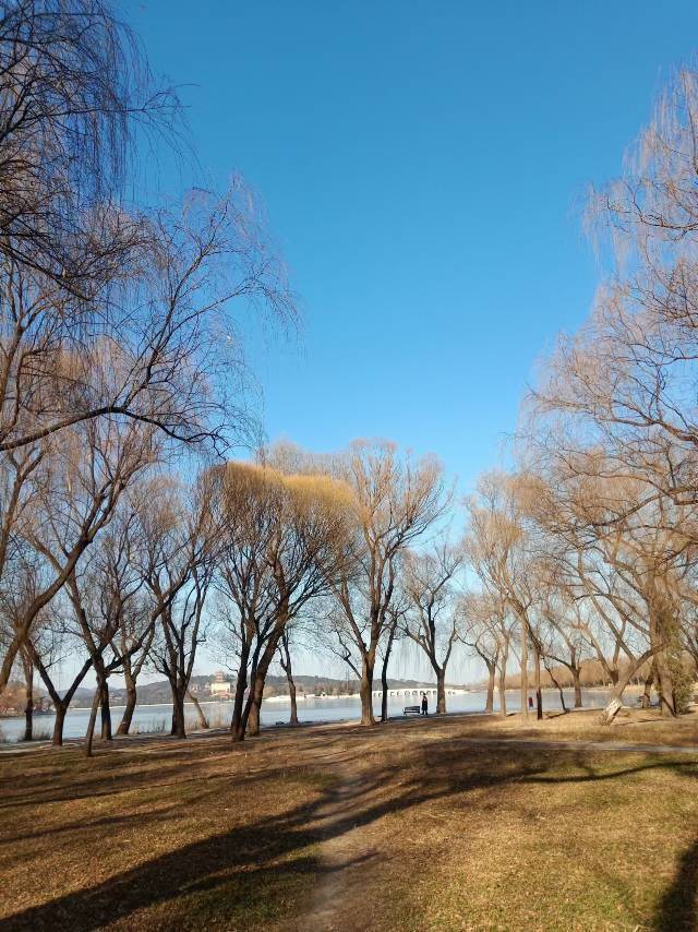 跟2024年的最后一抹夕阳挥一挥手咯~_1