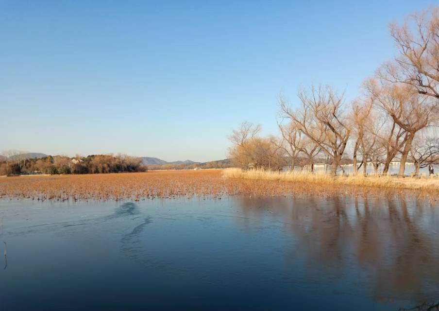 跟2024年的最后一抹夕阳挥一挥手咯~_4