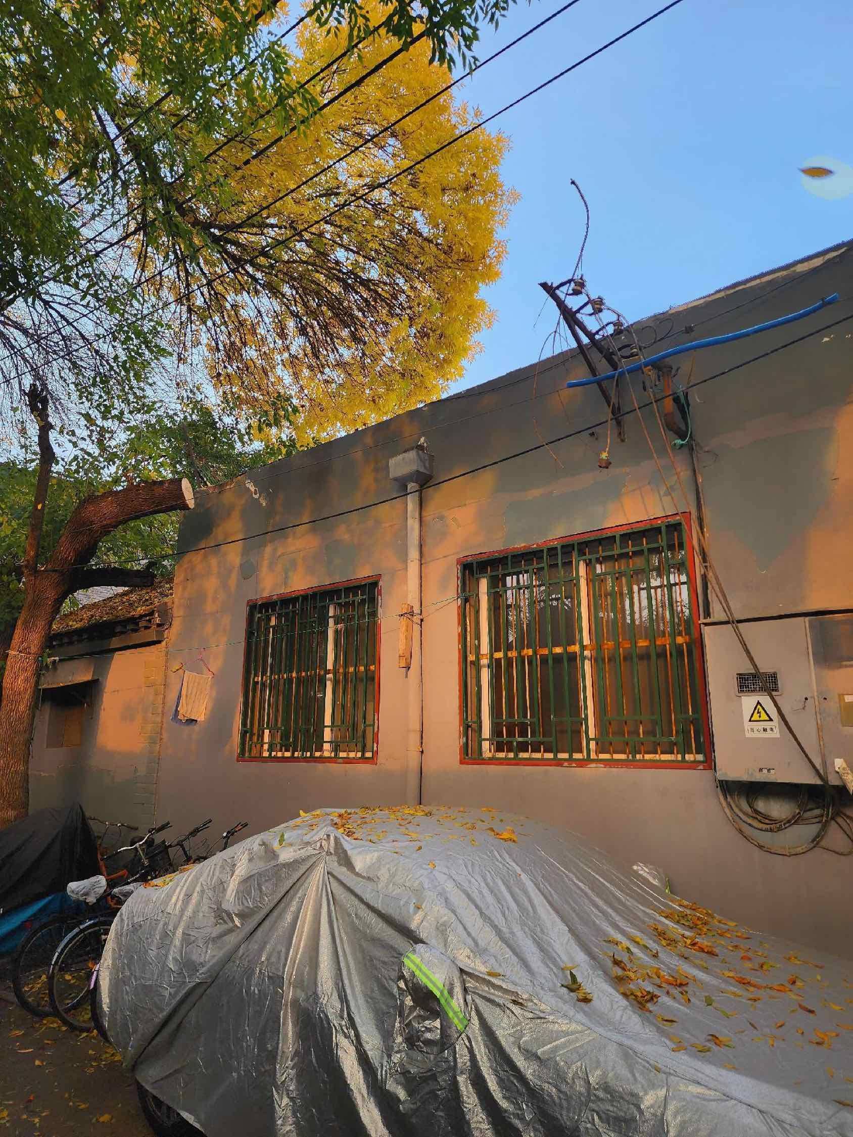 老舍笔下的北平之秋，其实就是北京的大街小_4