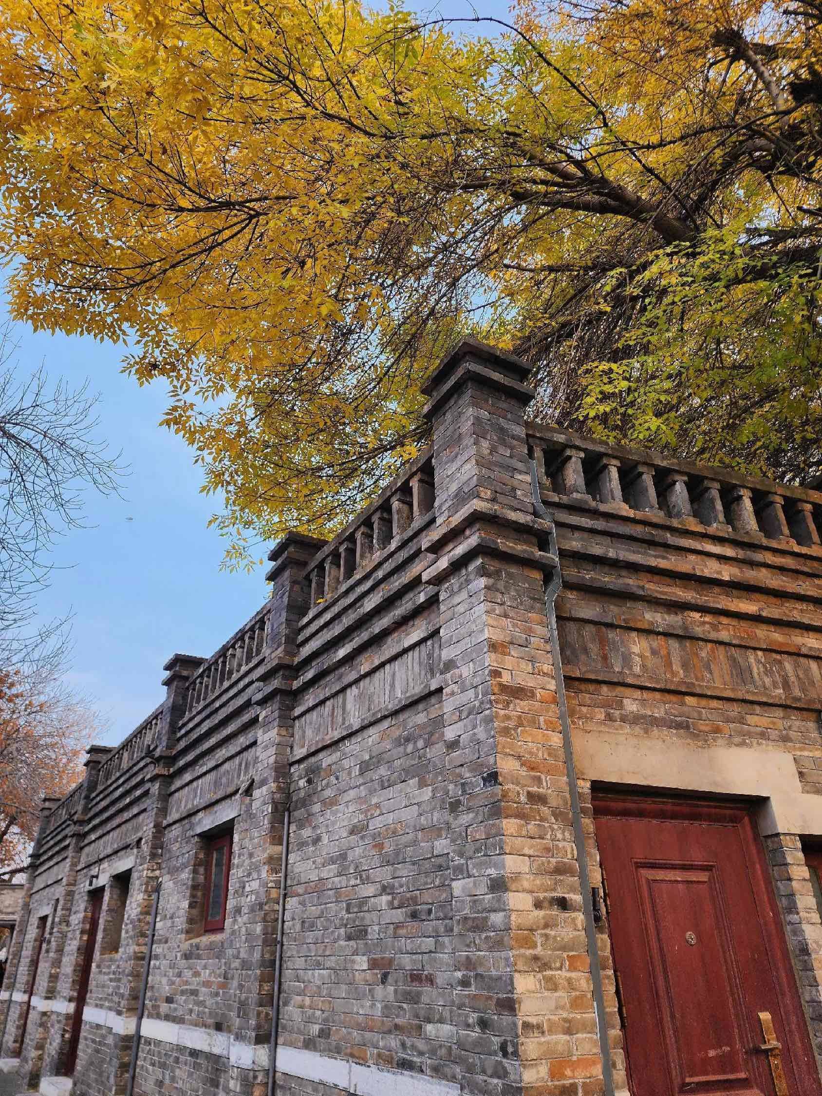 老舍笔下的北平之秋，其实就是北京的大街小_1