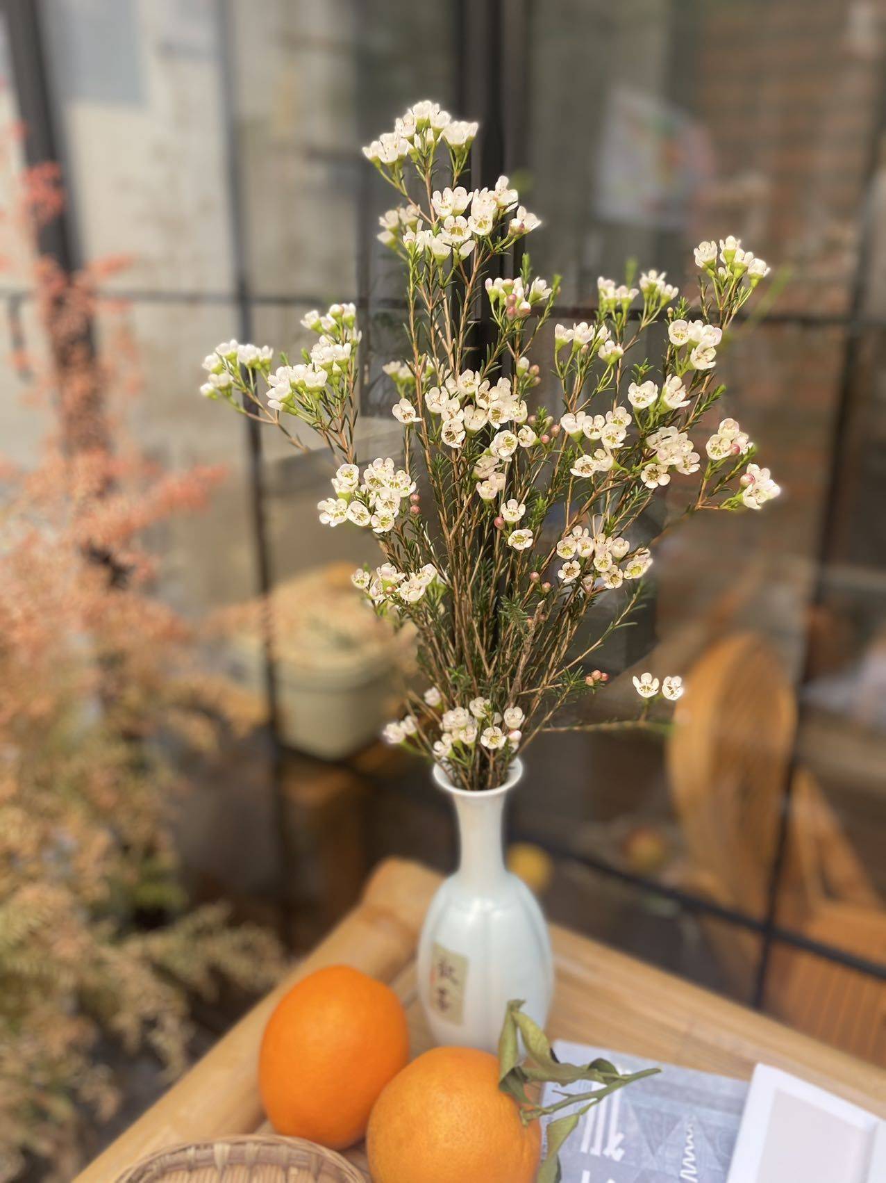 读书会活动回顾