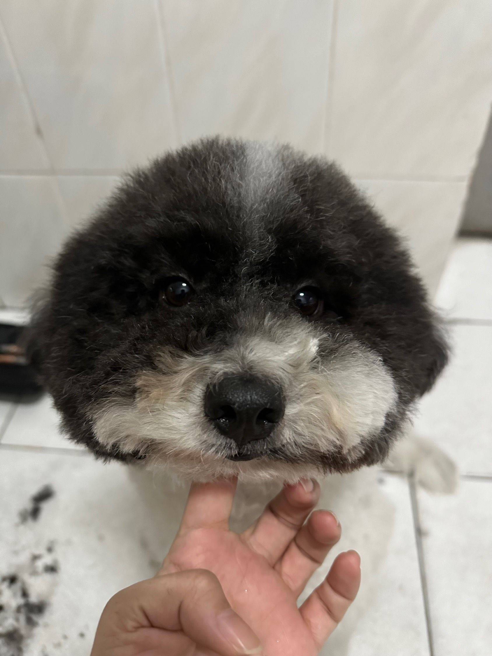 新手Tony首秀😆😆_1