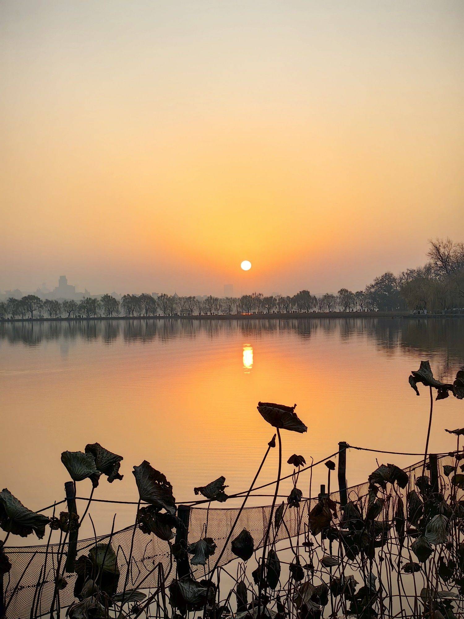 杭州西湖美丽时刻在线_2