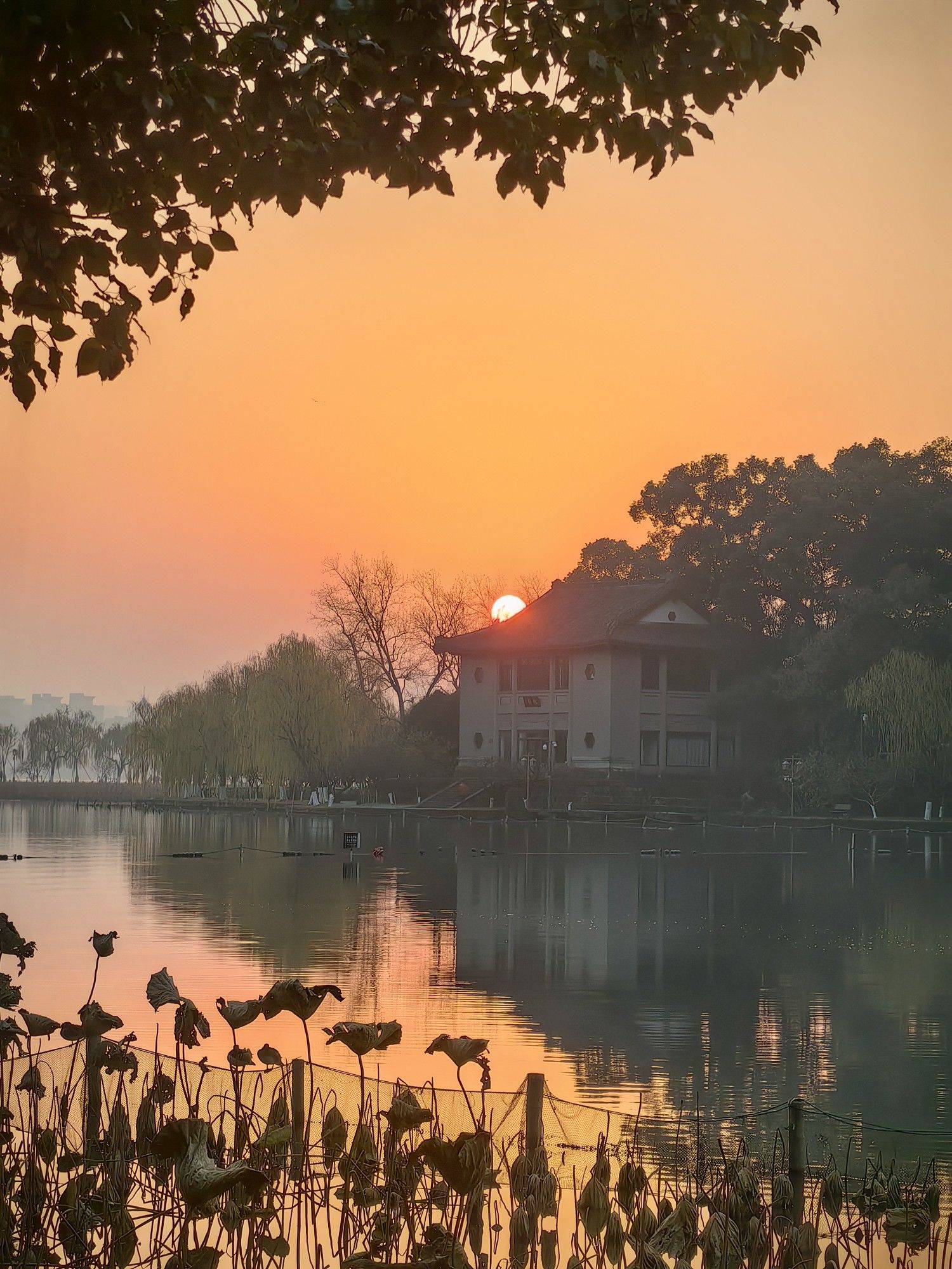 杭州西湖美丽时刻在线_1