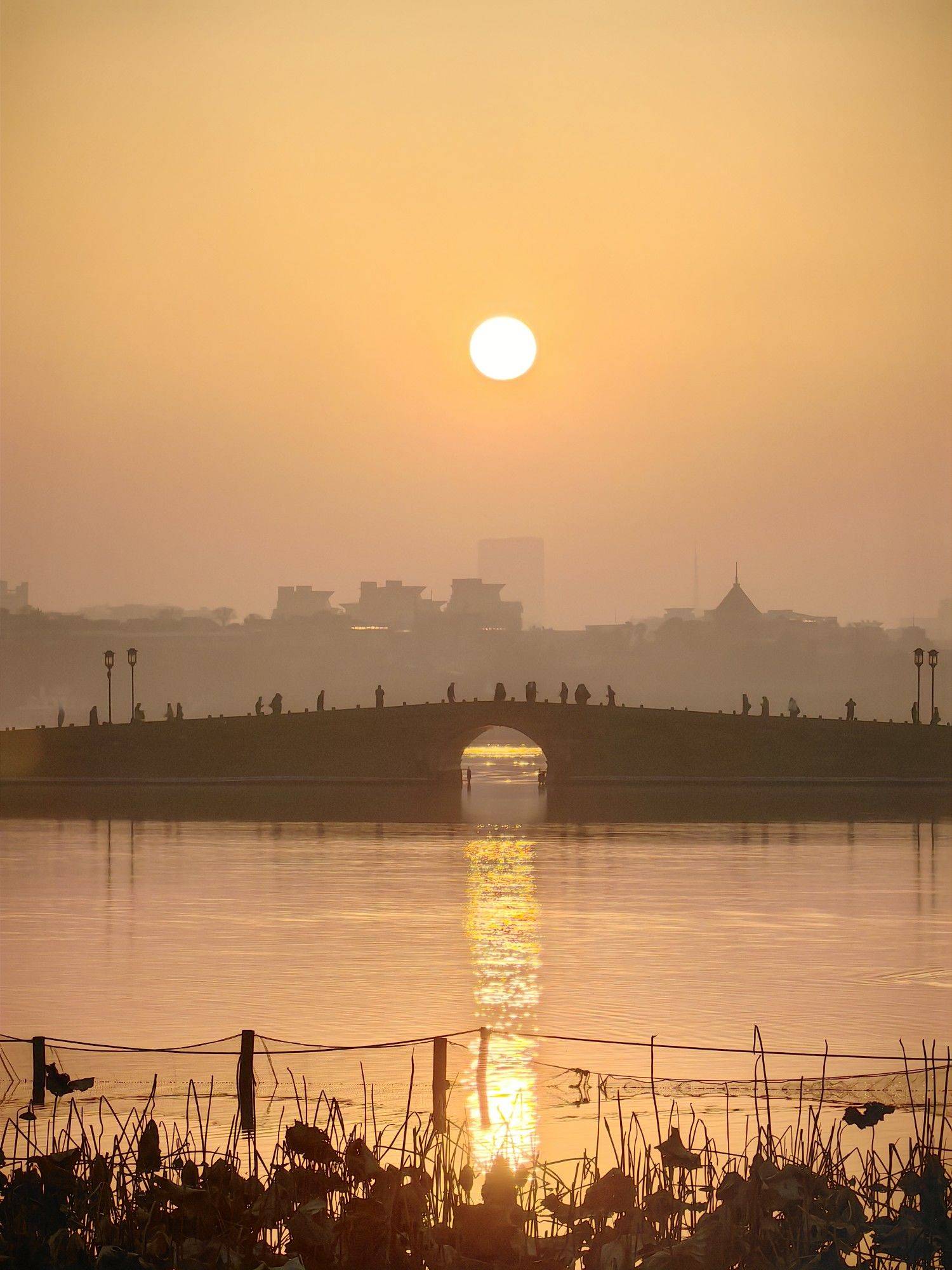 杭州西湖美丽时刻在线