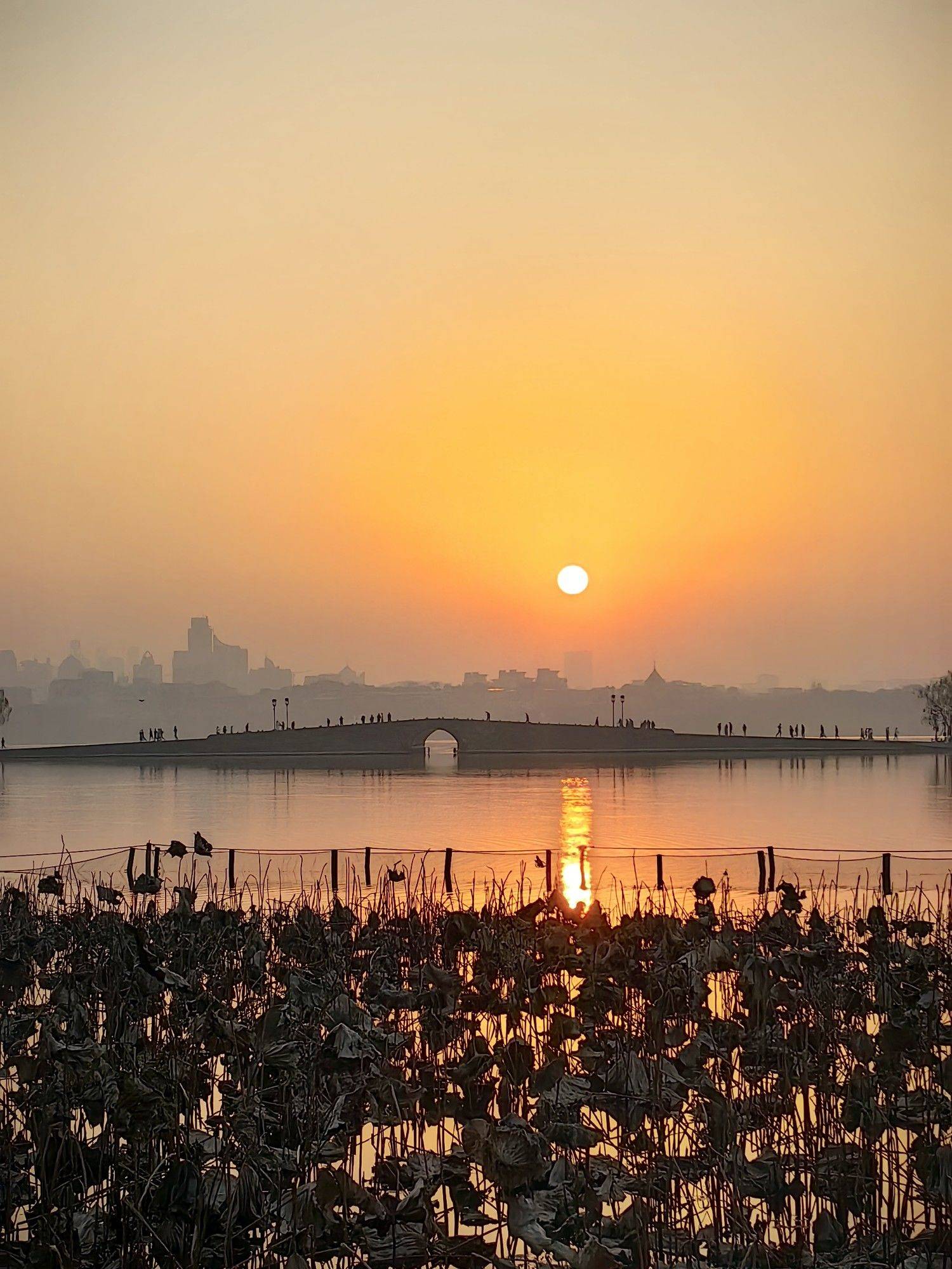 杭州西湖美丽时刻在线_3