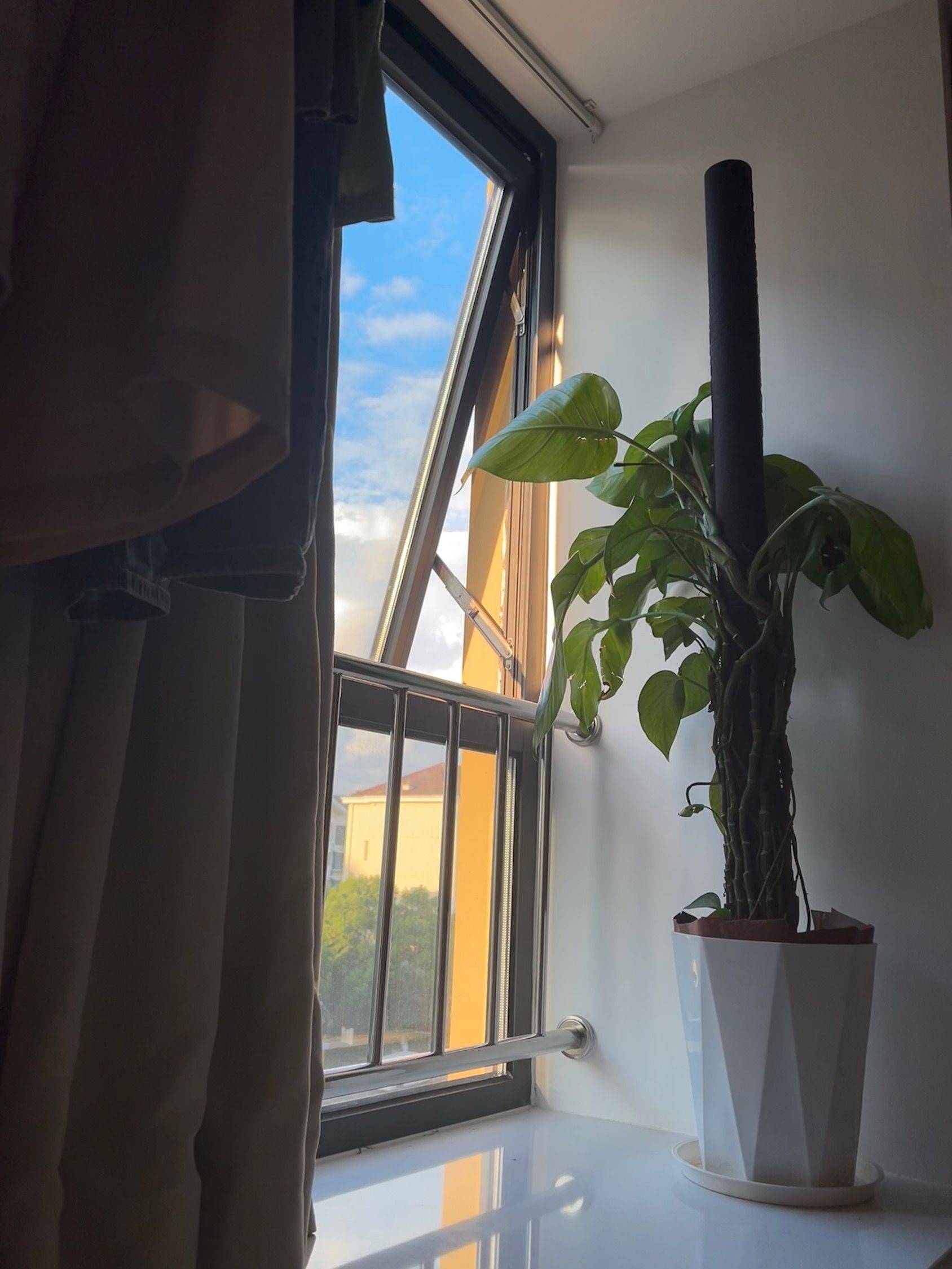 今日份悠闲🩷过年你们什么时候回家_1