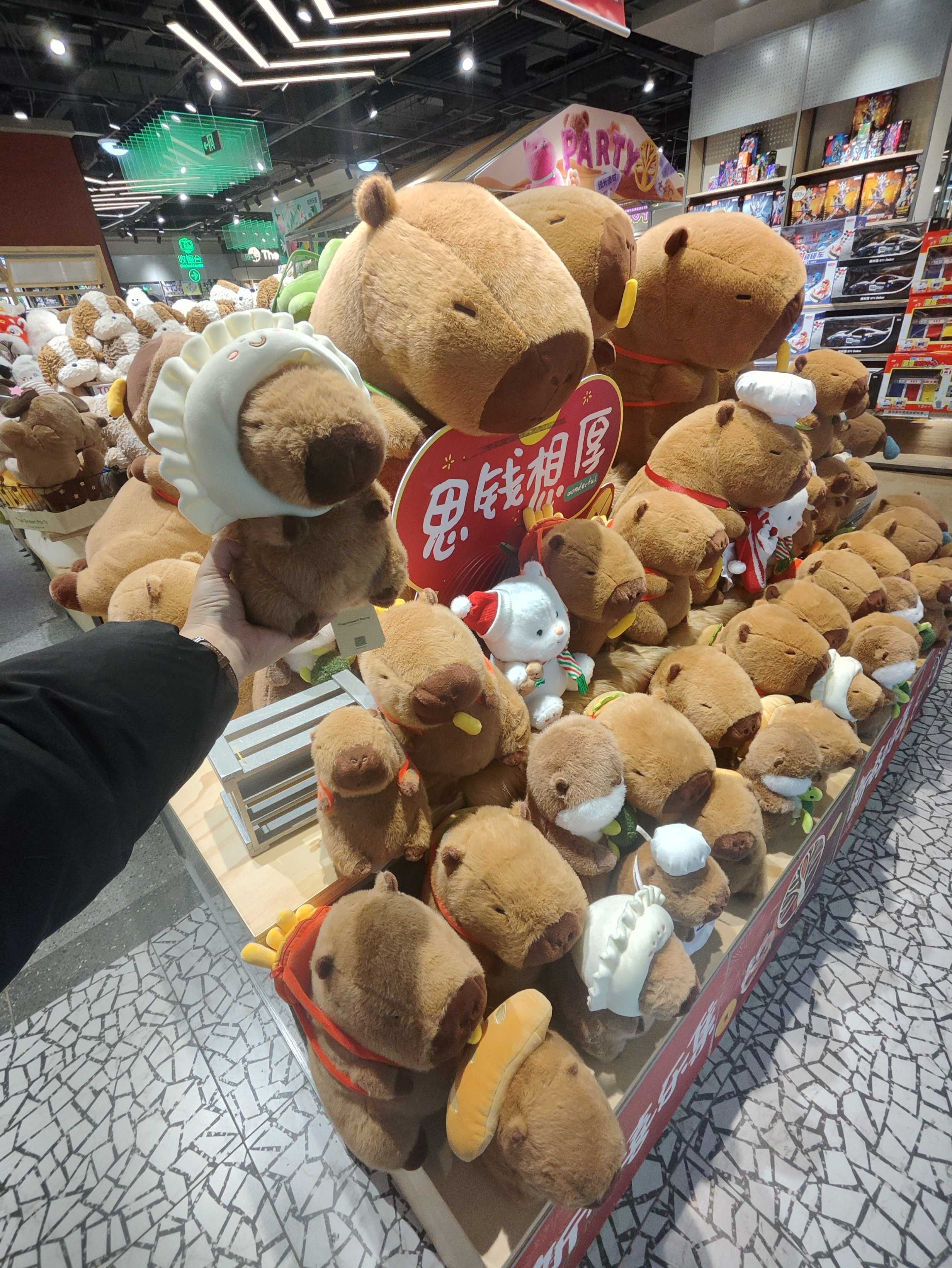 等你发现