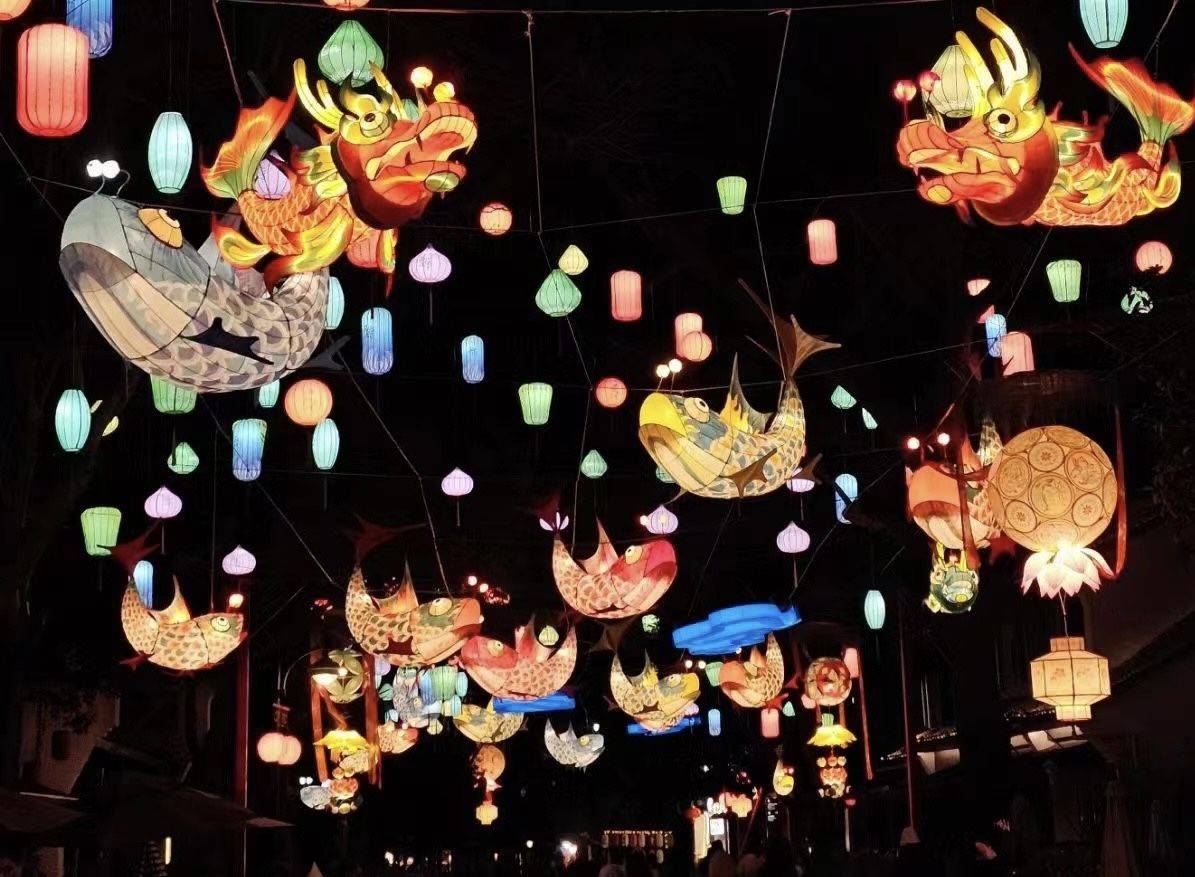   非遗 花灯游街  花灯 热热闹闹_4