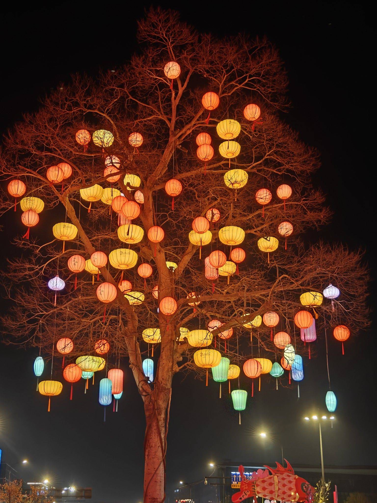   非遗 花灯游街  花灯 热热闹闹_2