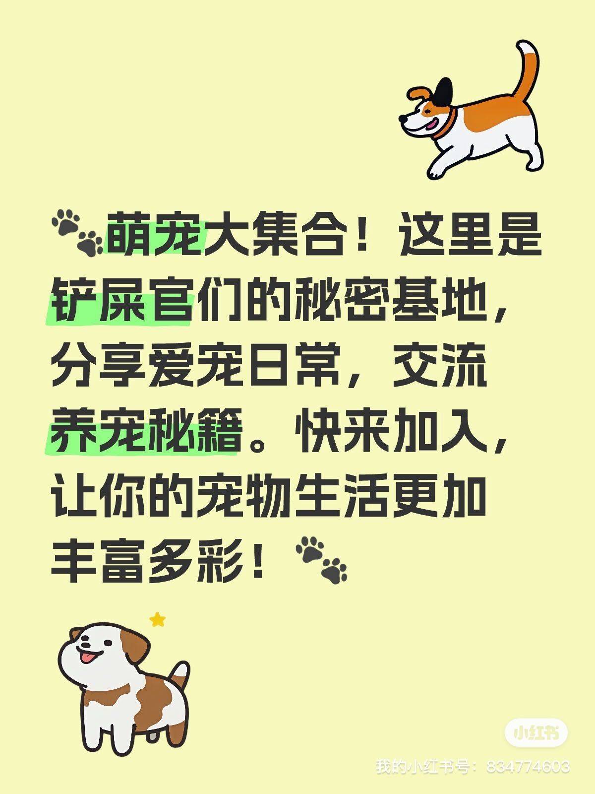 铲屎官集合