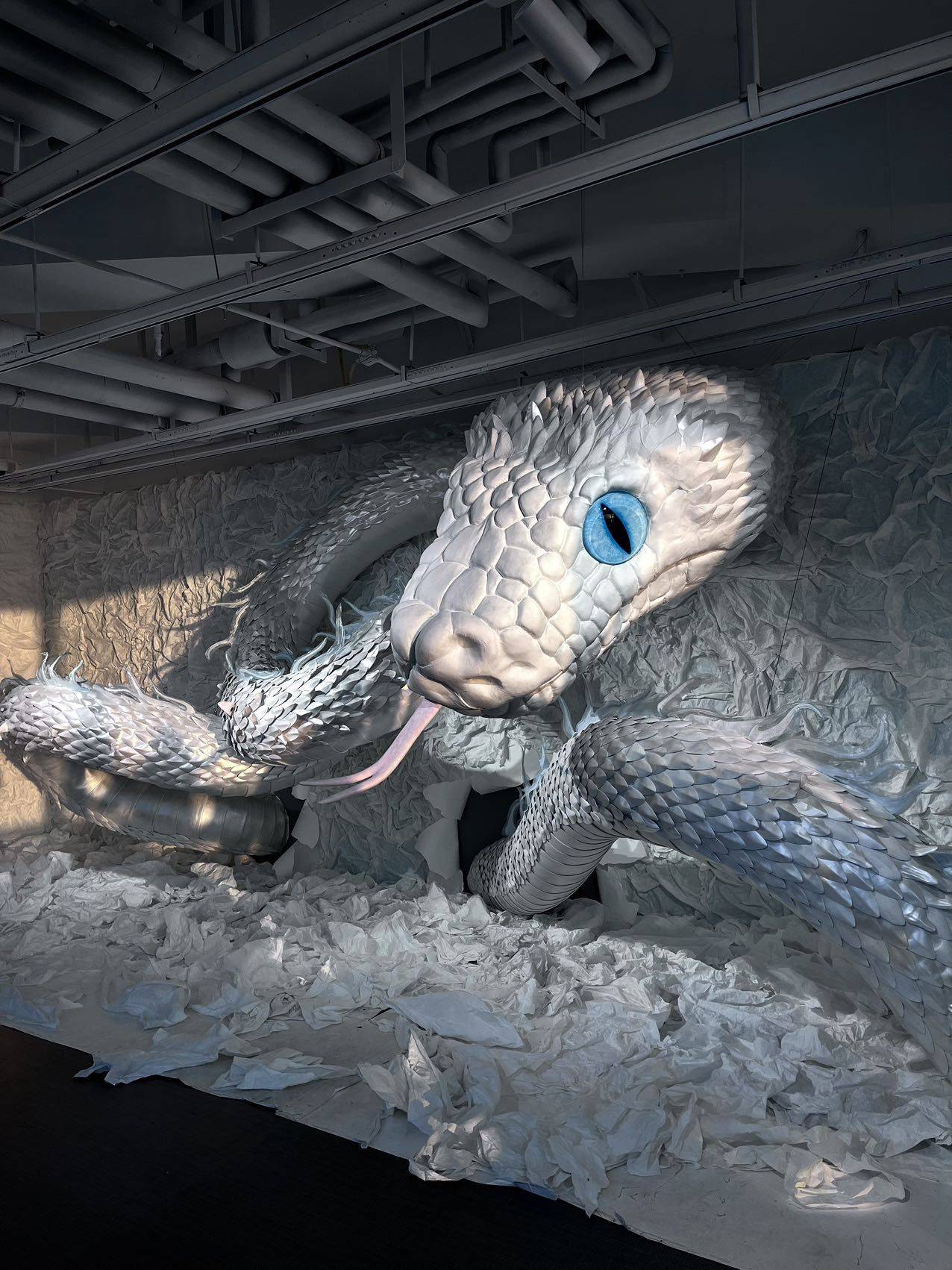 君子应有龙蛇之变_3