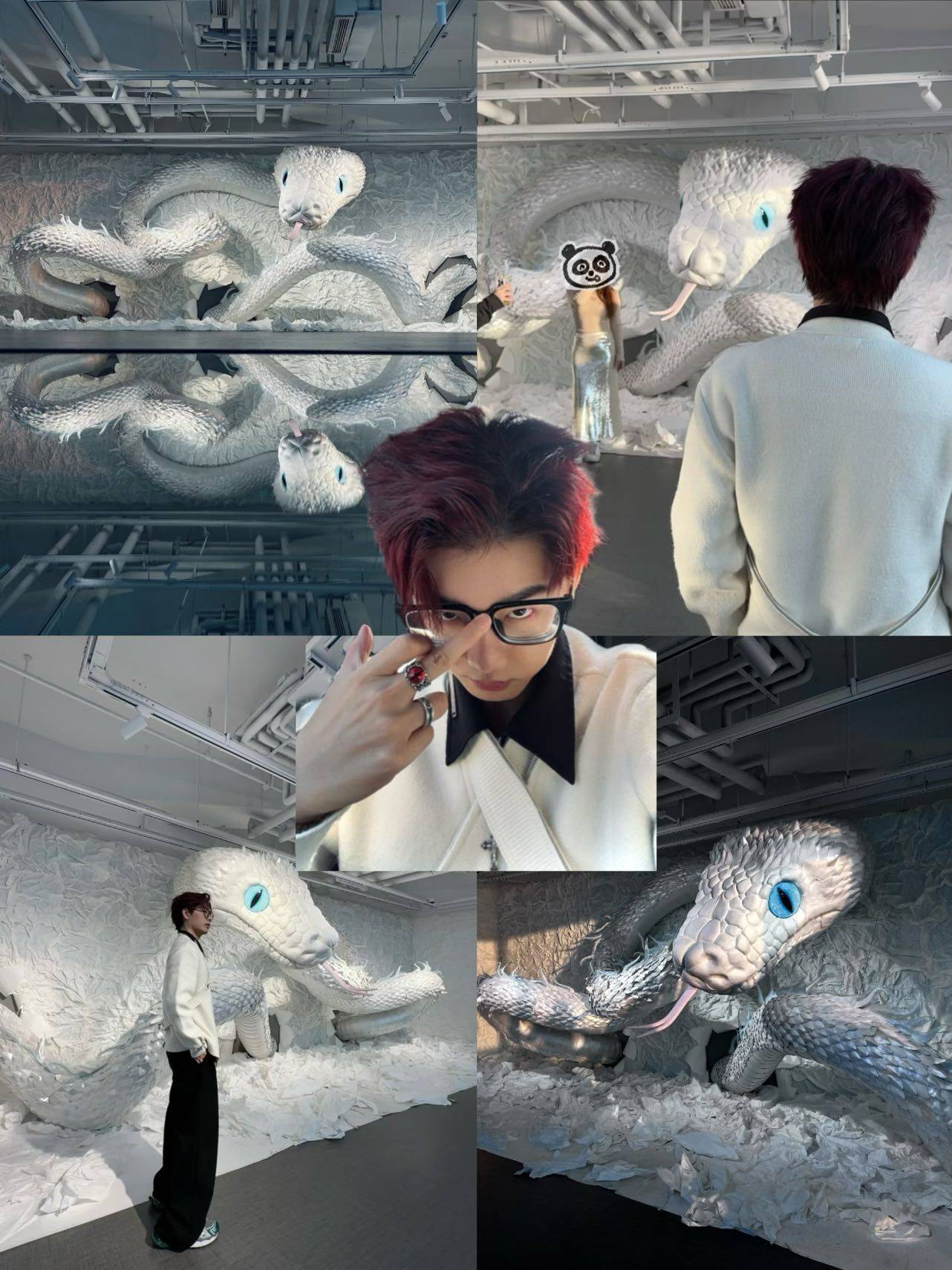 君子应有龙蛇之变