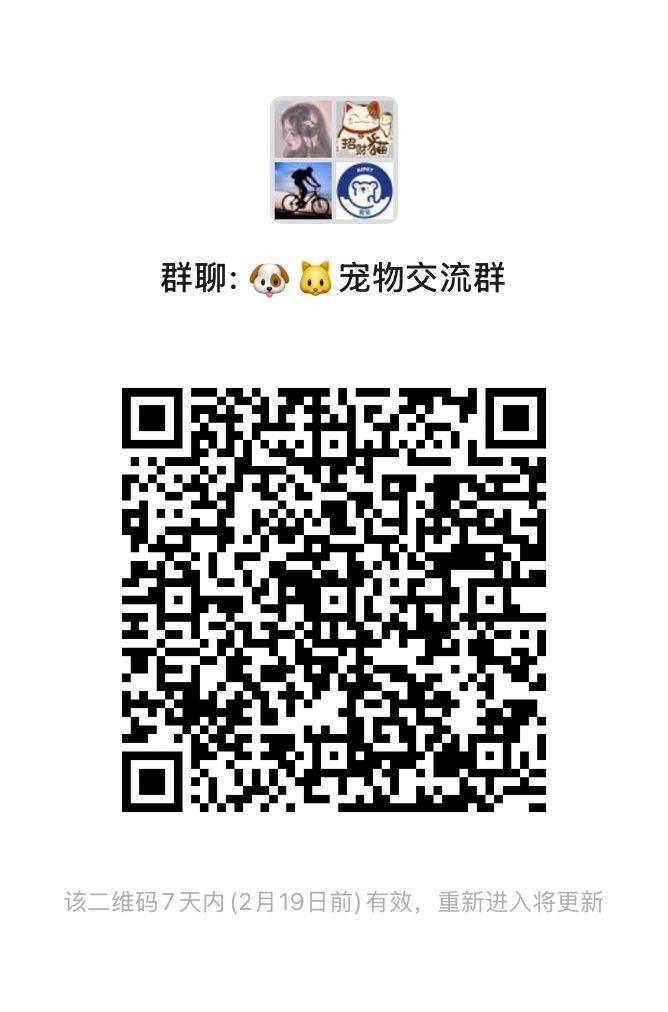 铲屎官集合_1