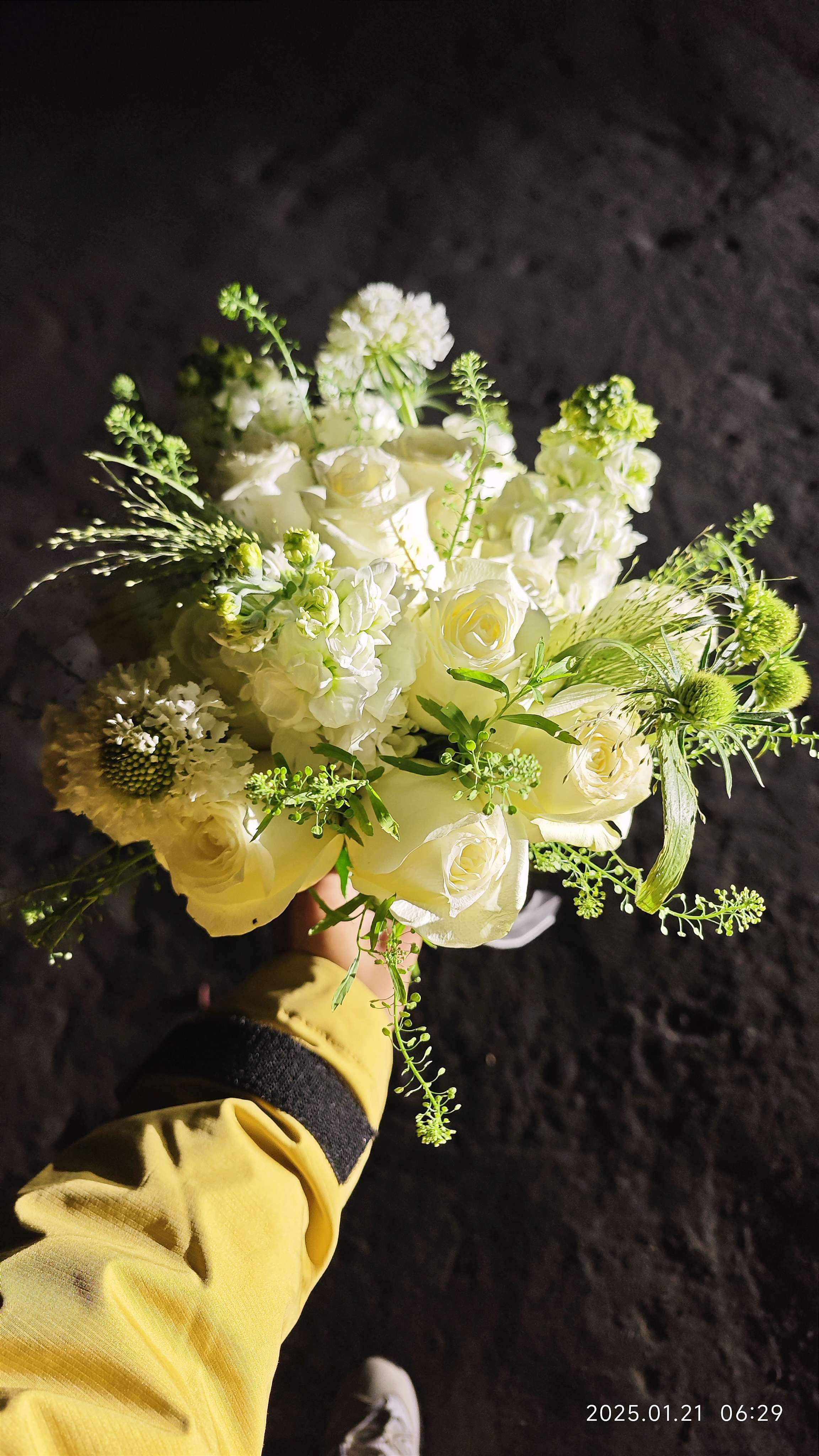 远赴人间惊鸿宴_0