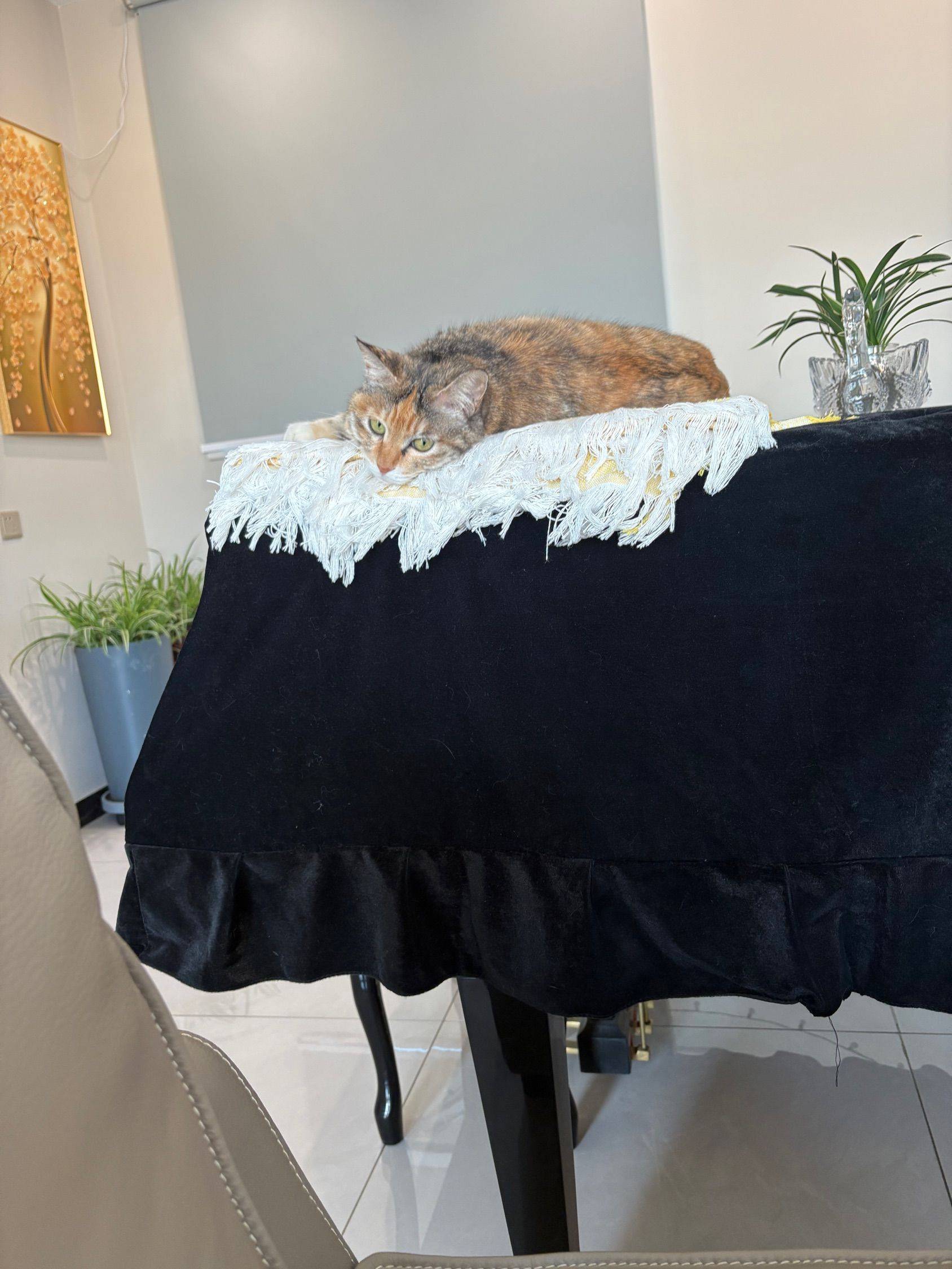 我的小花和我的小花_2