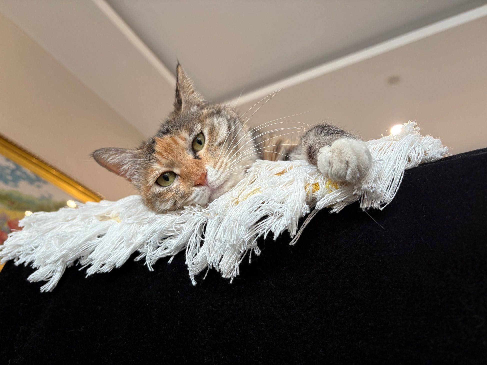 我的小花和我的小花