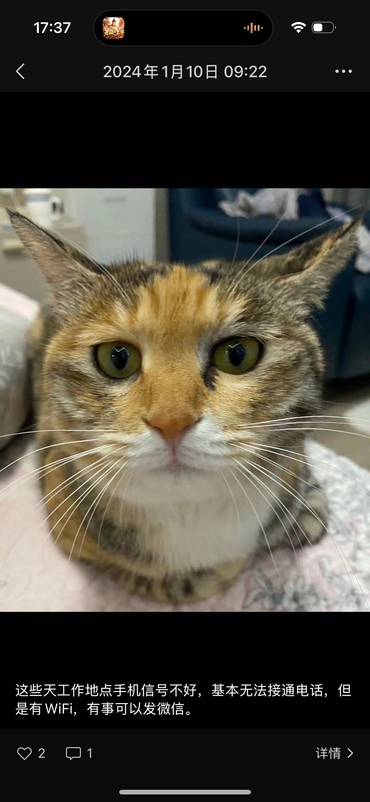 我的小花和我的小花_1