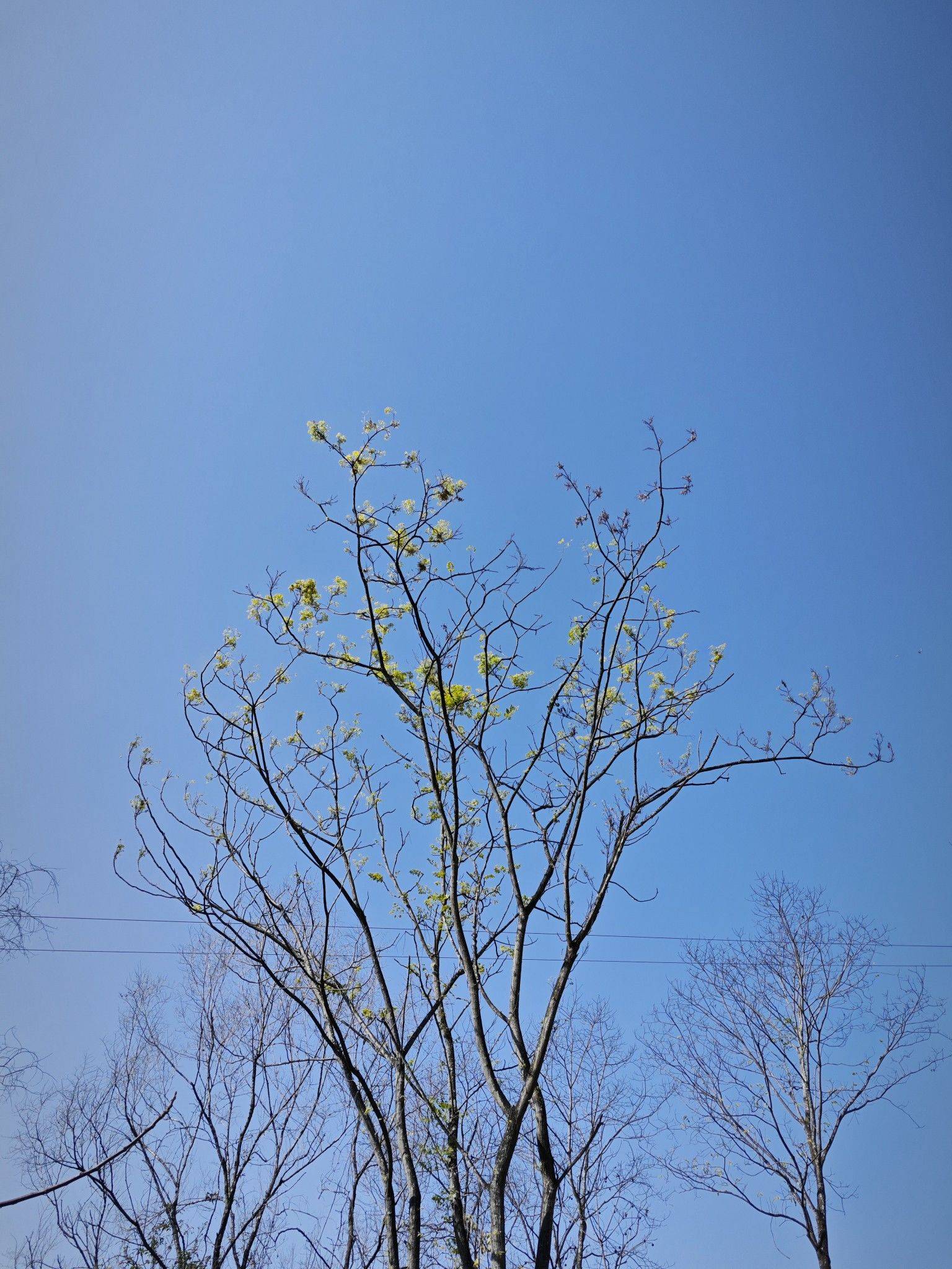 晴空万里～～_1