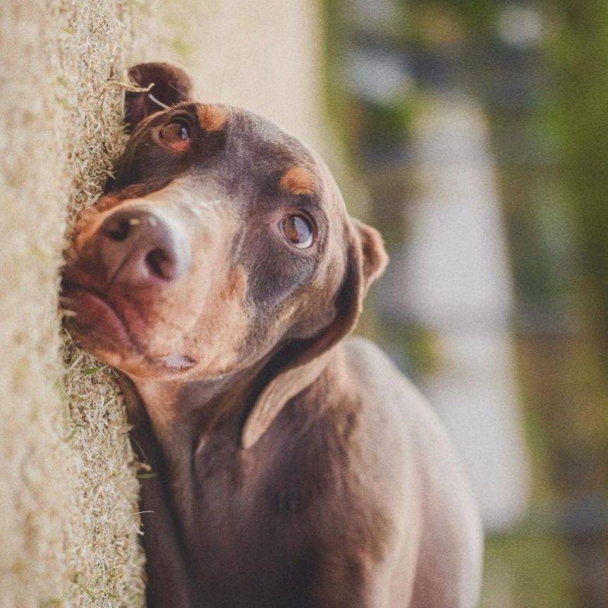 清澈的小眼神儿～是真开心了～_1