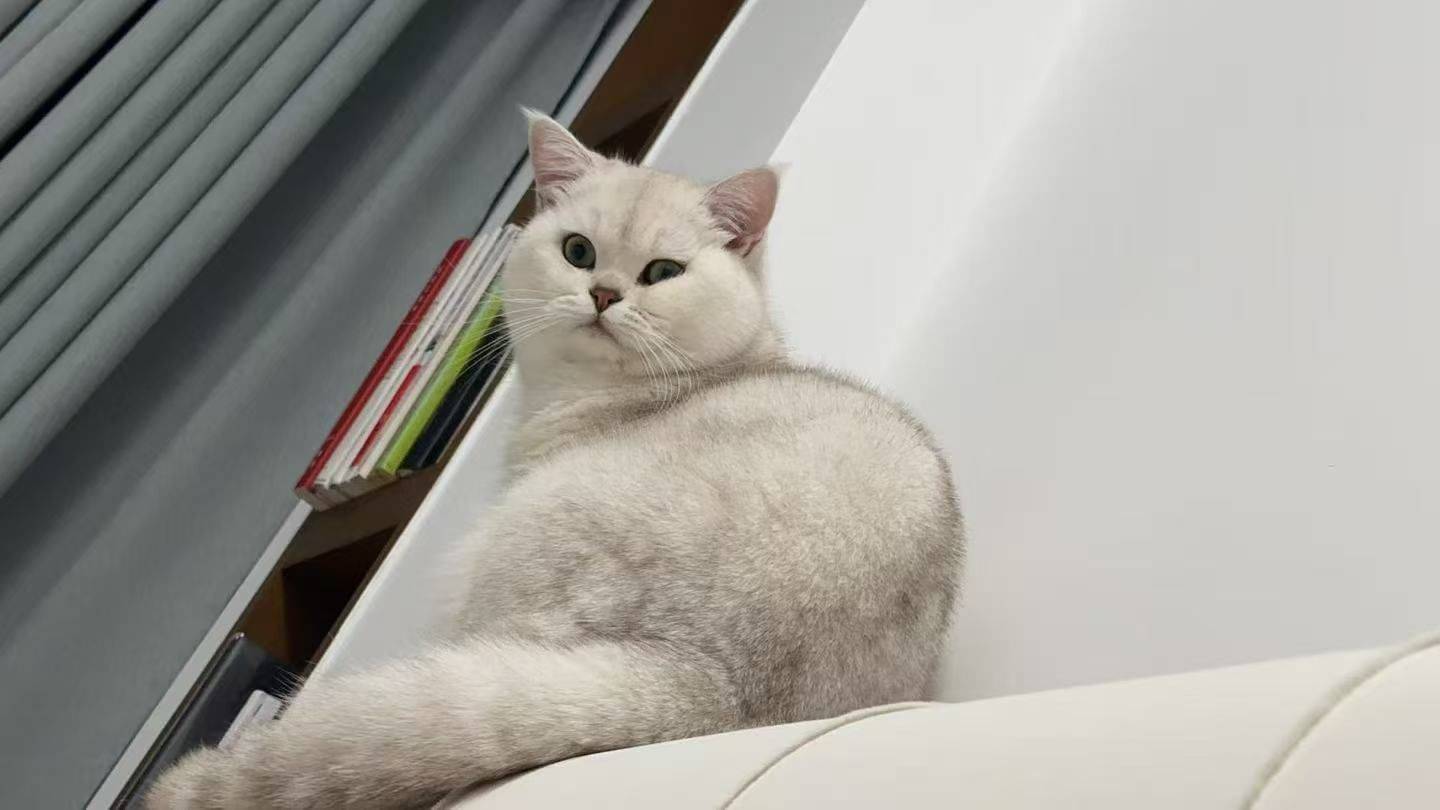 想干嘛🤨