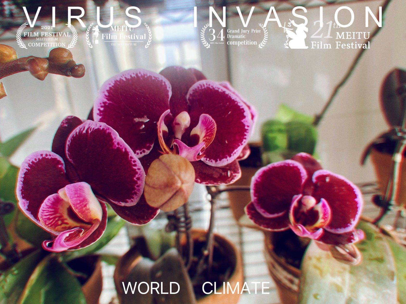 恭喜发财，蒙彼利埃_1