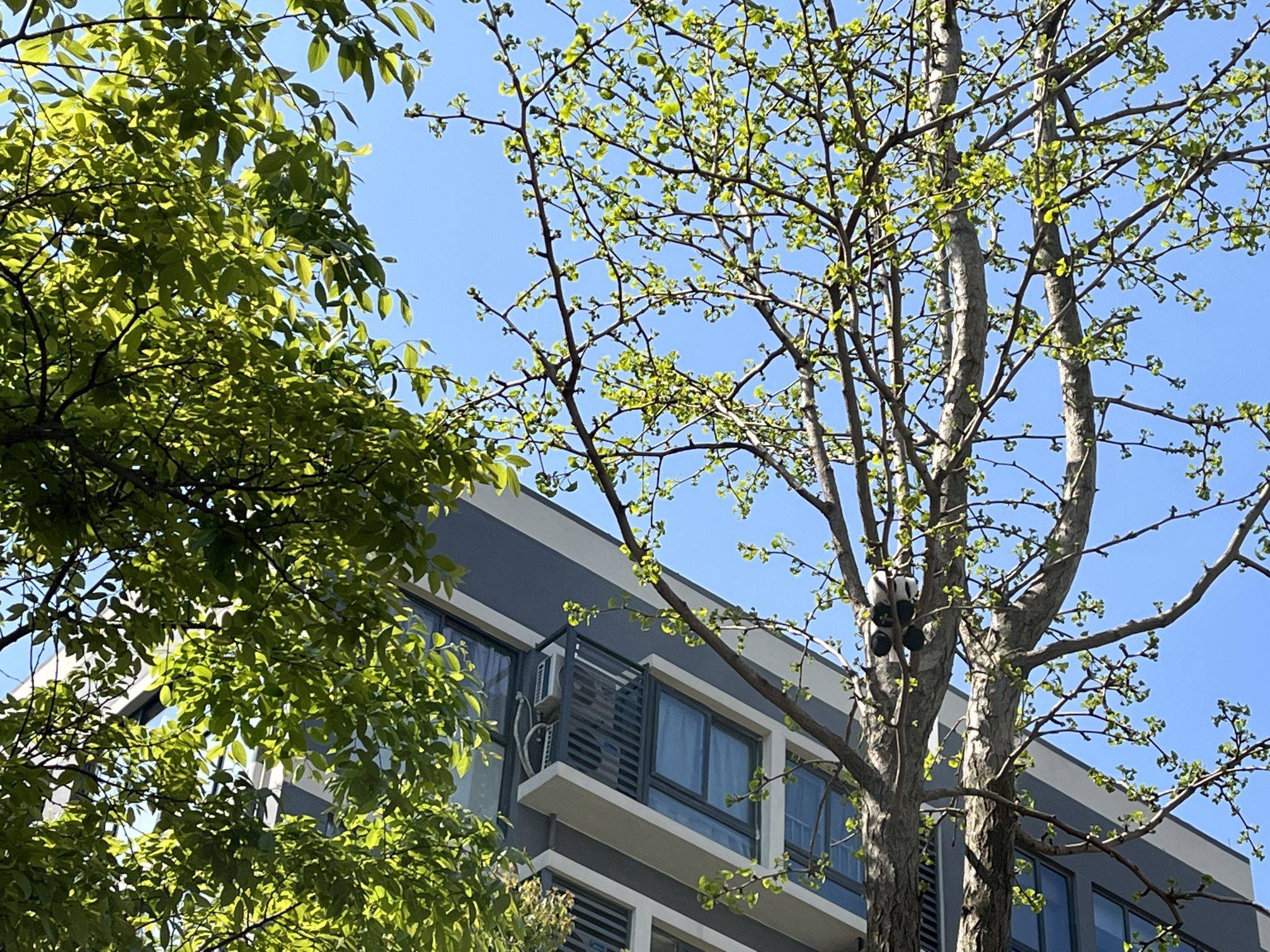 今天天气🈶点好.....😃_1