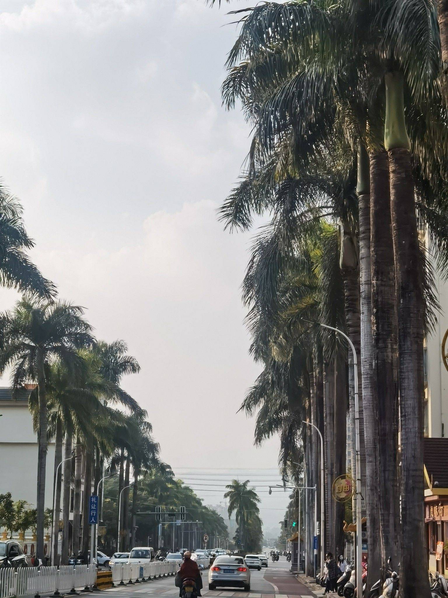 旅游搭子小短腿