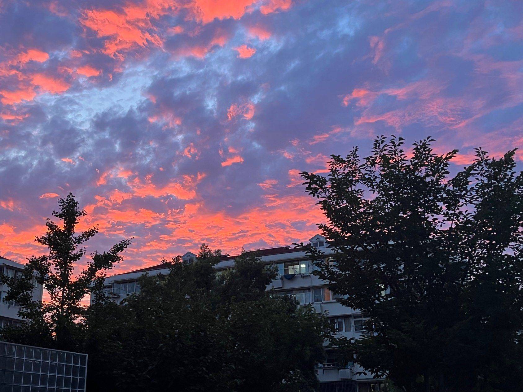 在线蹲室友  蛇年找新房 