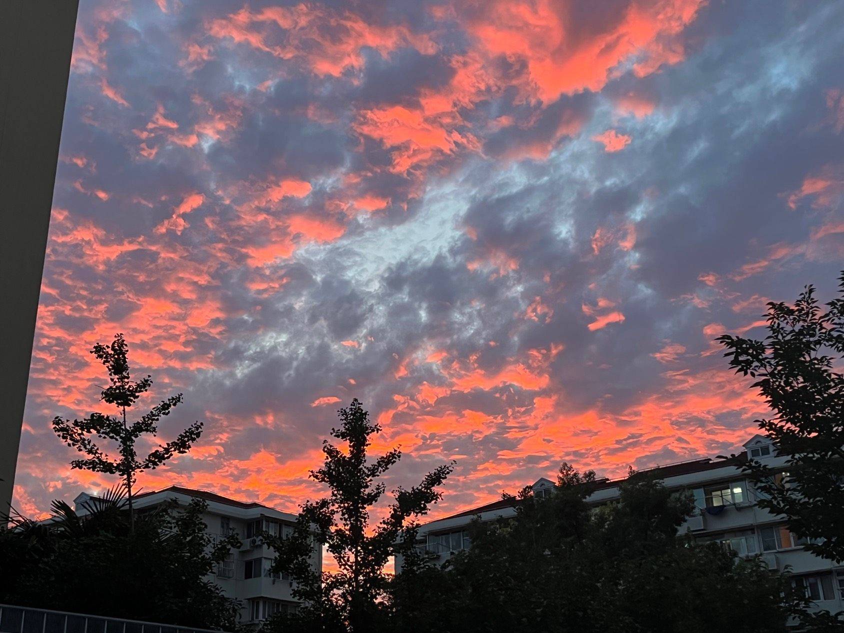 在线蹲室友  蛇年找新房 _1