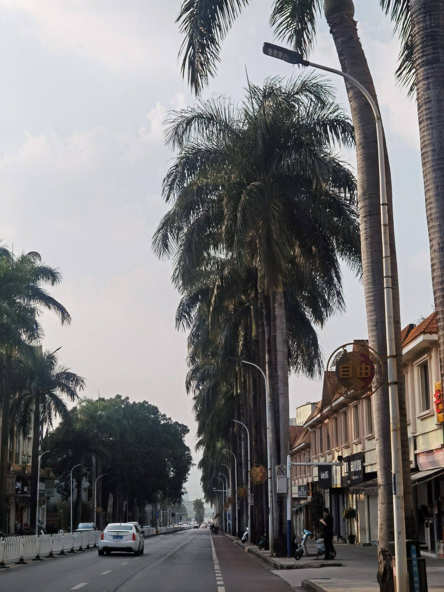 旅游搭子小短腿_1