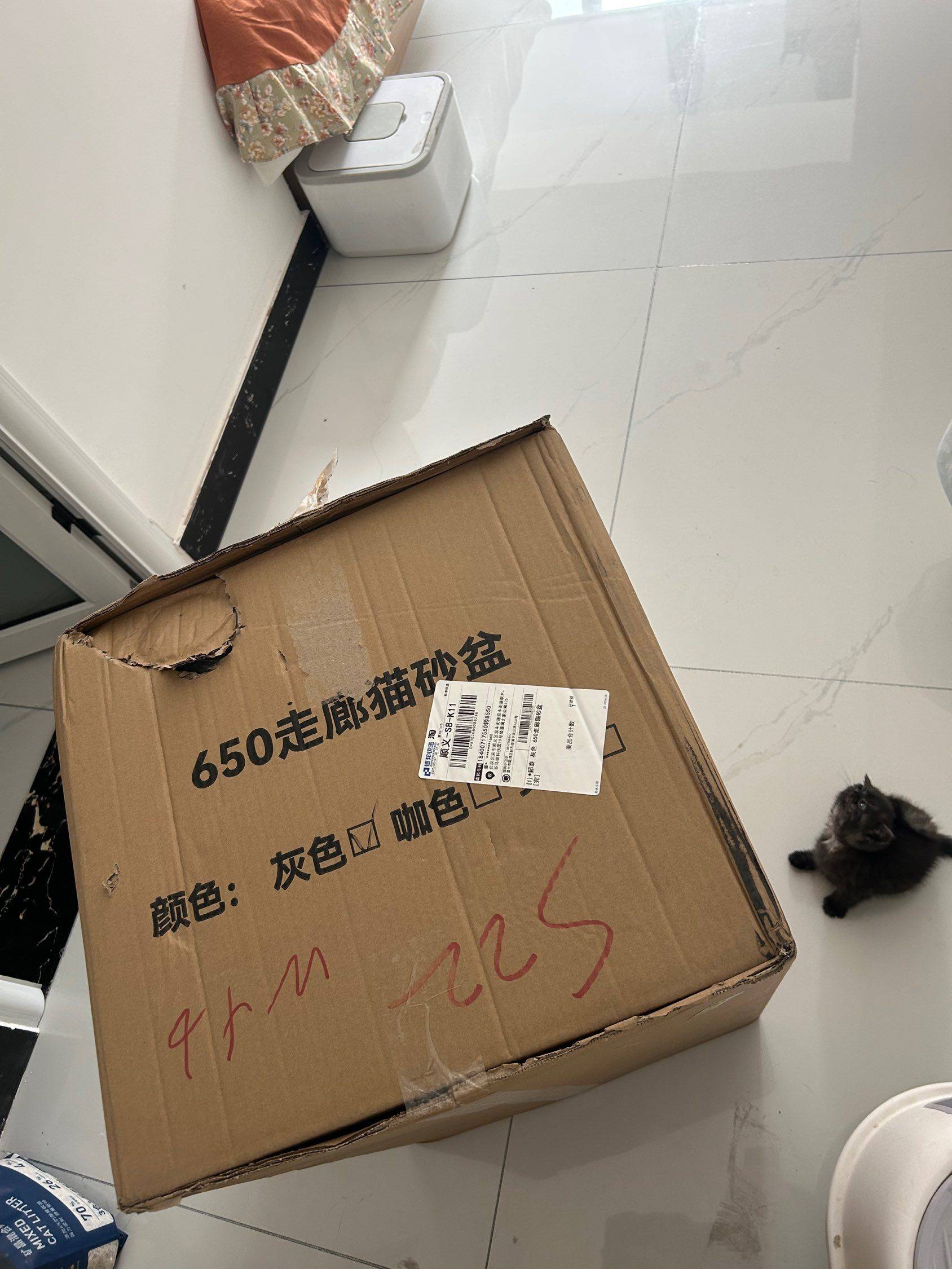 小猫咪的卫生间到了