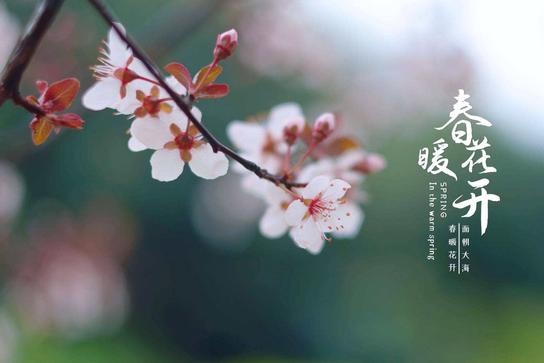 周末就去登山吧  忘记烦恼