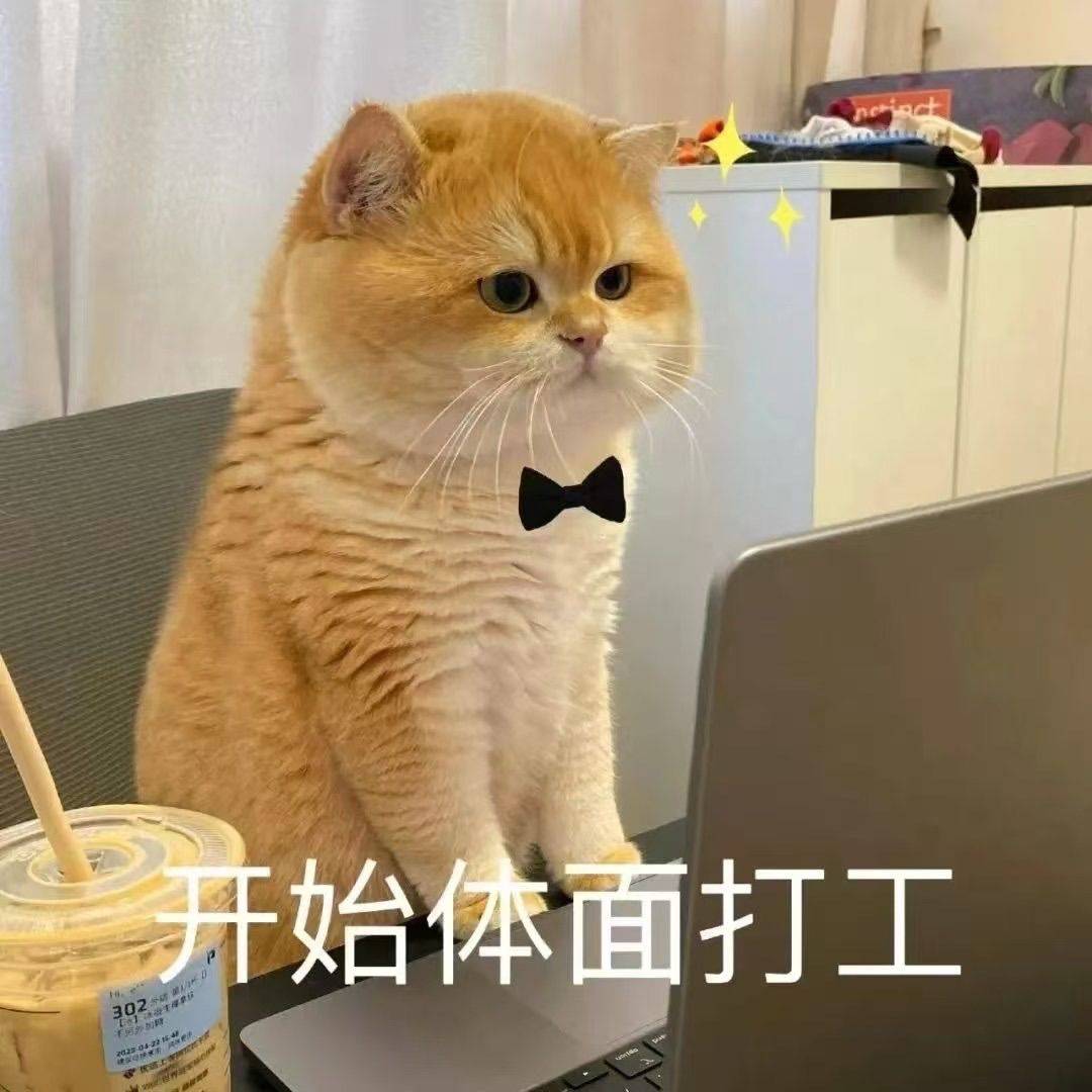 今天阳光真好