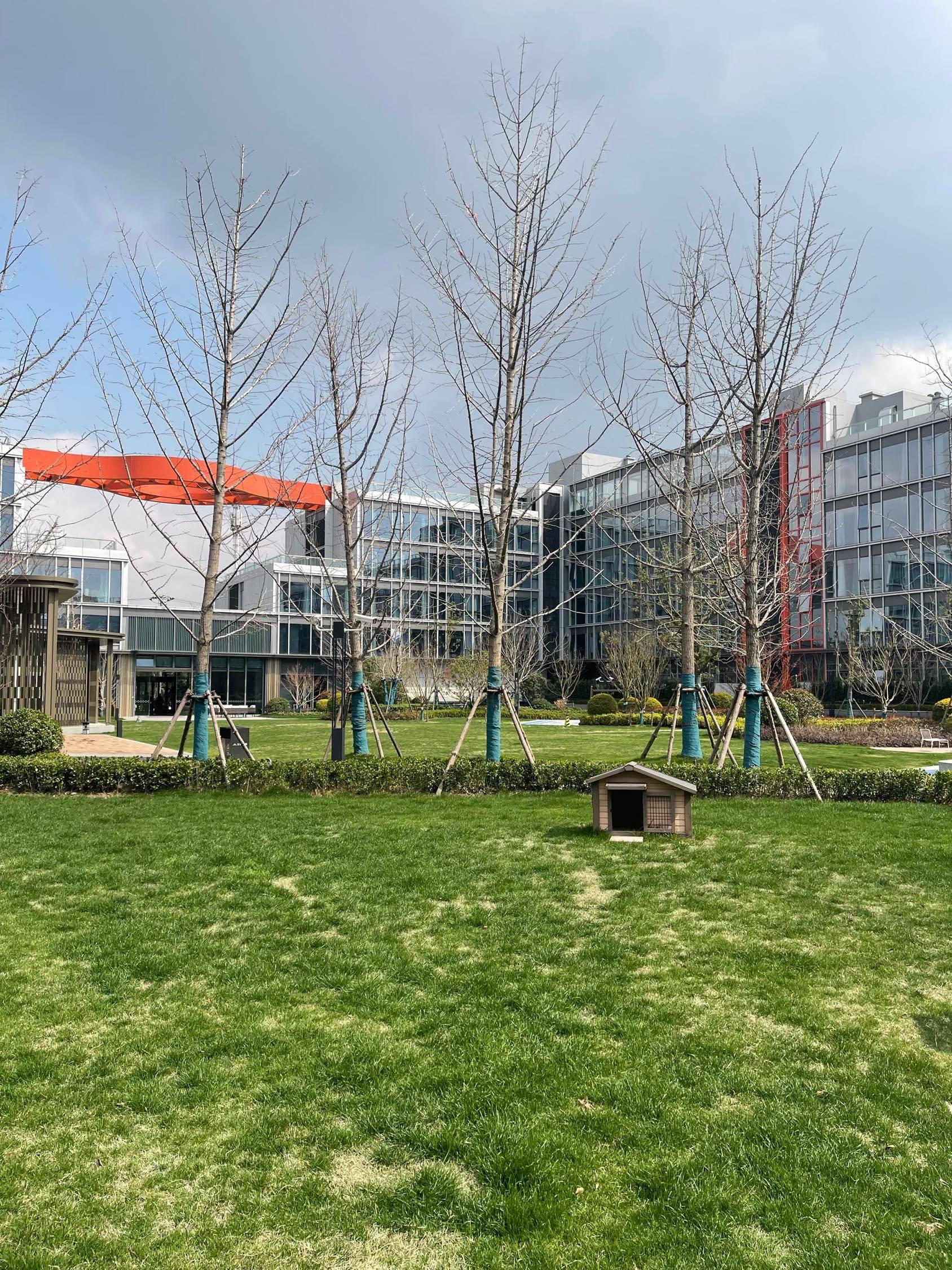 终于出太阳了，好像在这个大草坪上面翻滚 