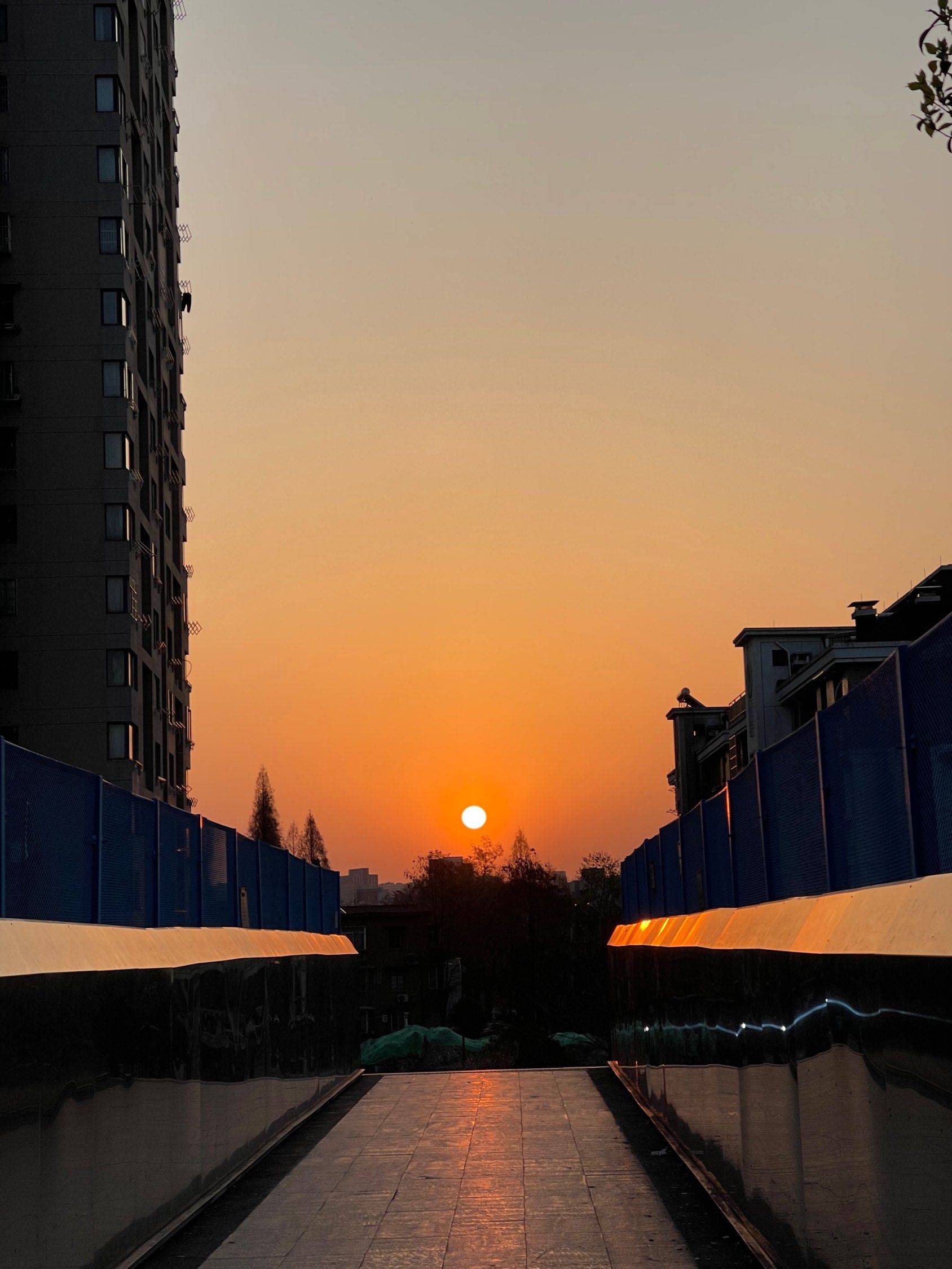 市中心最美日出打卡点_1