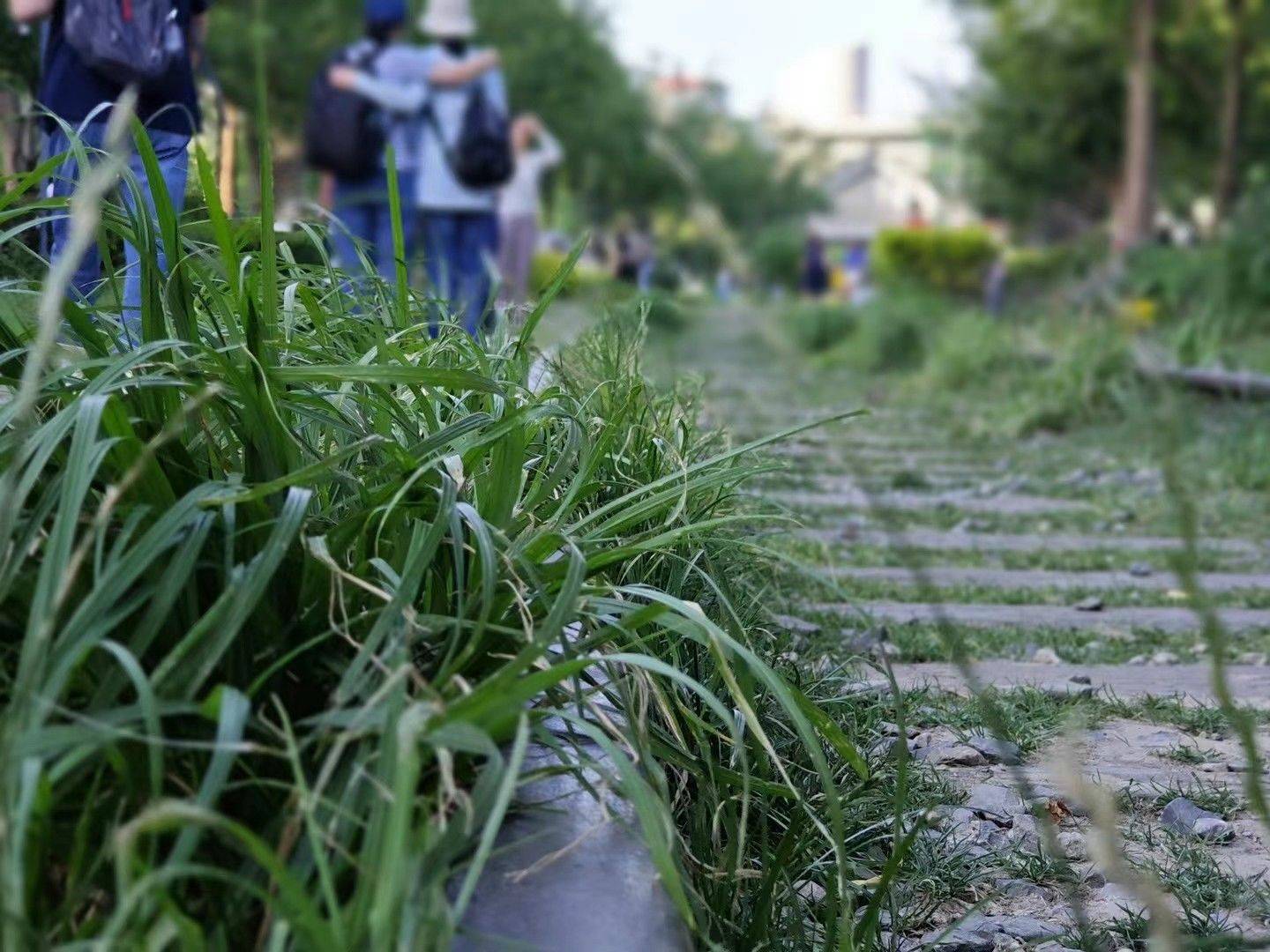 🎬我们都是自己人生电影的主角🎈_4