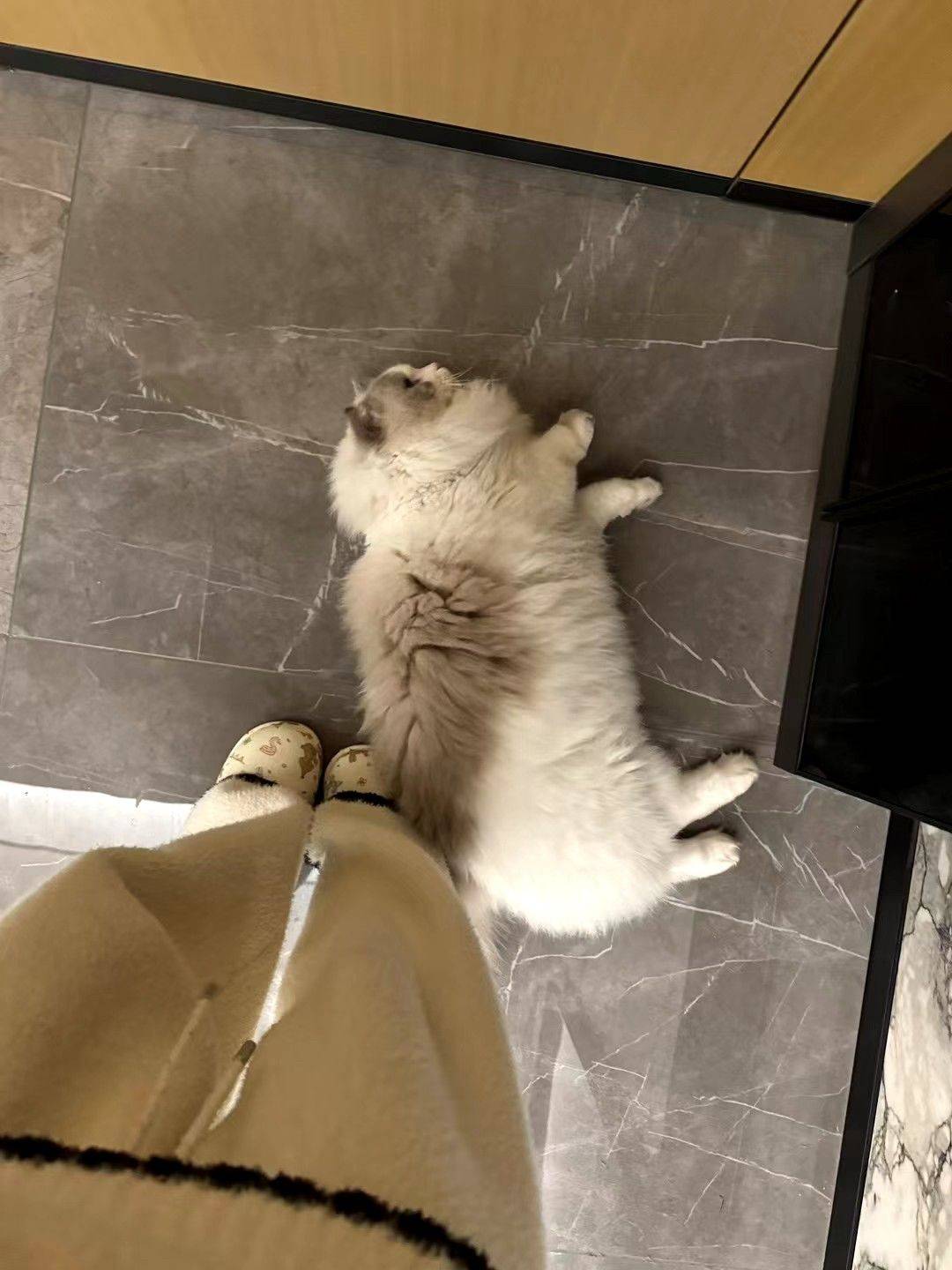 谁家卡车停家里了_2