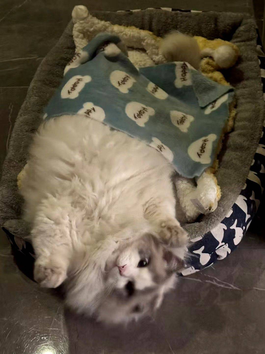 谁家卡车停家里了