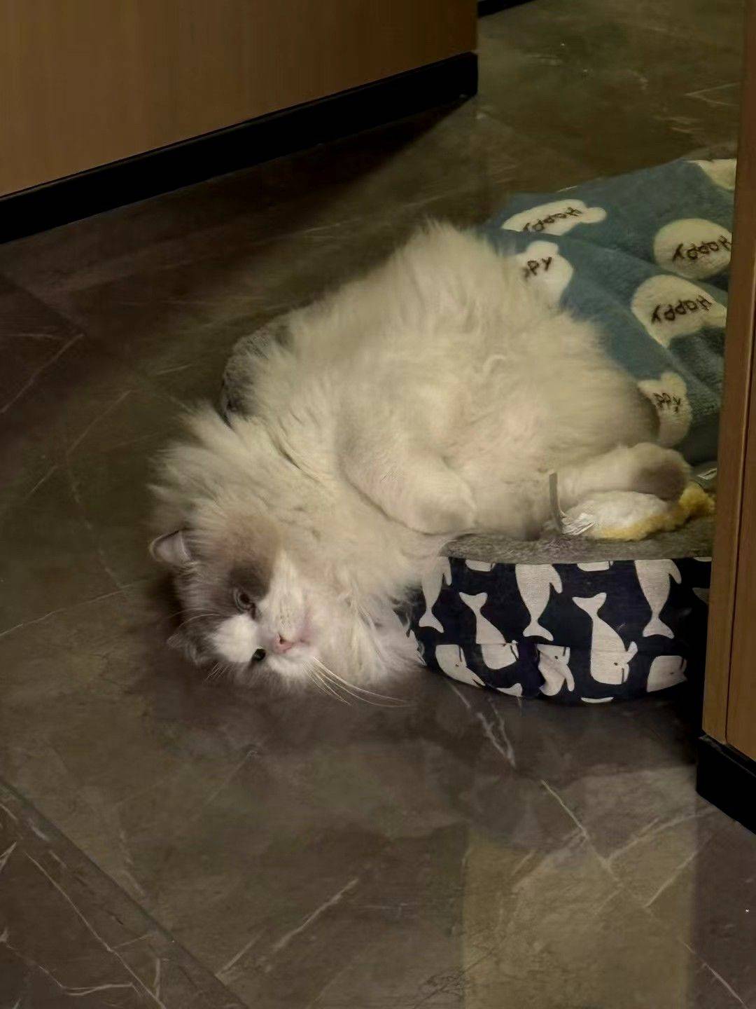 谁家卡车停家里了_1