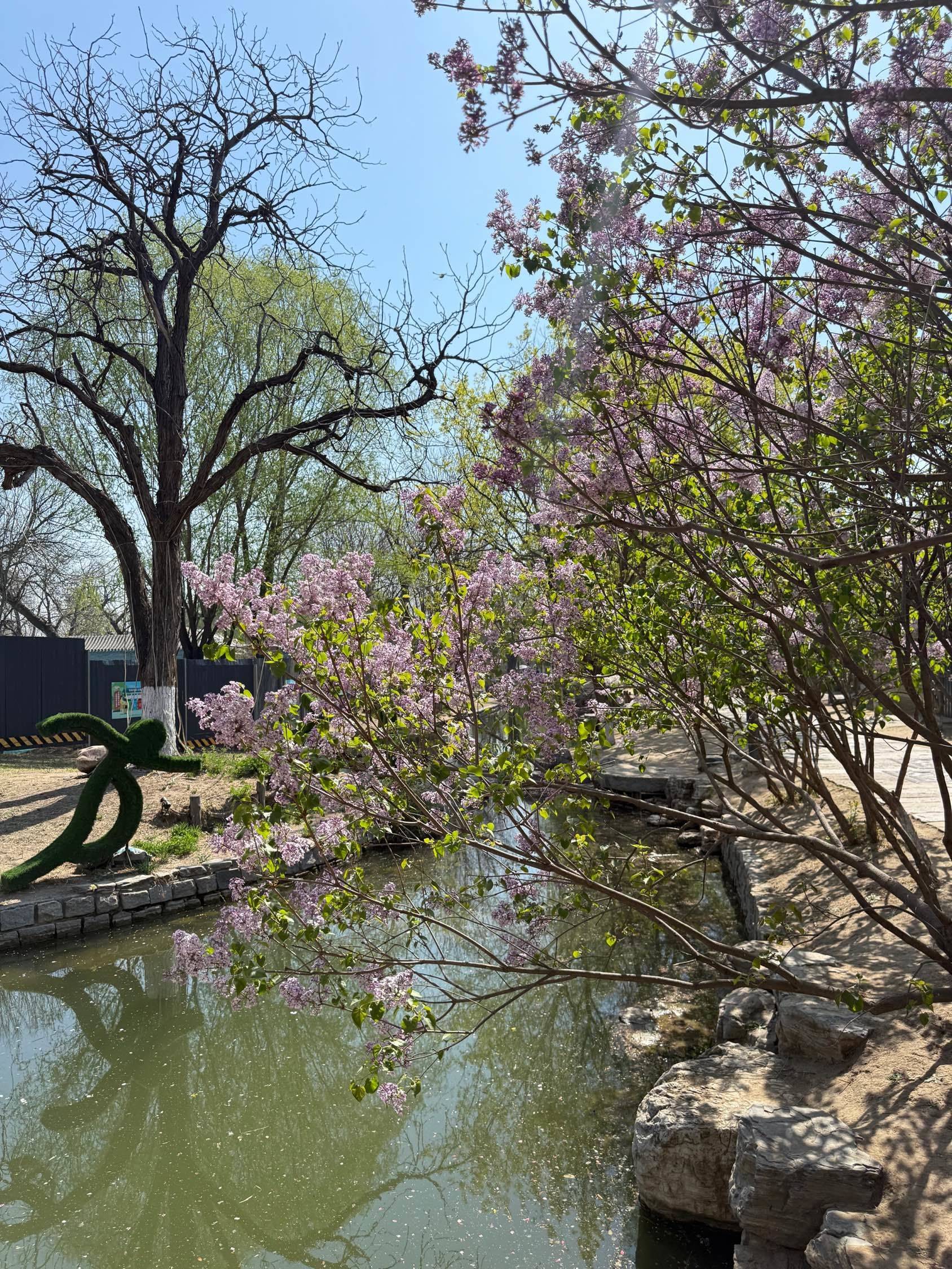 北京海棠花溪_3
