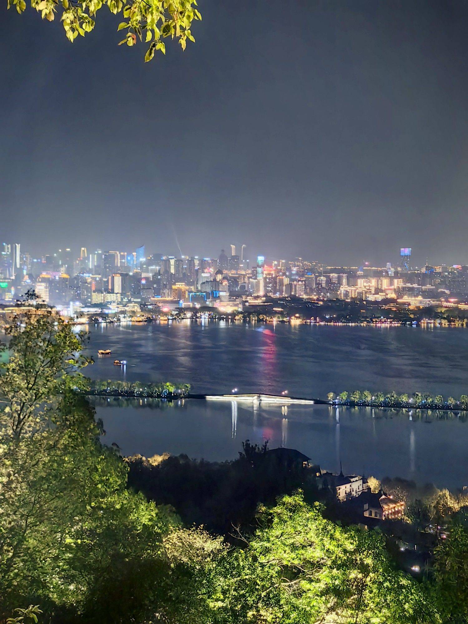 夜色中的新绿艳红～_3