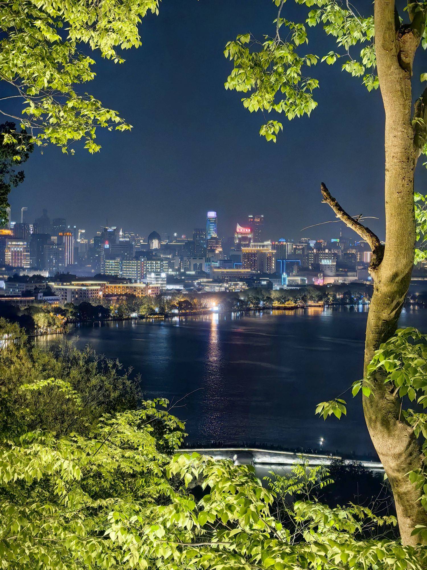 夜色中的新绿艳红～