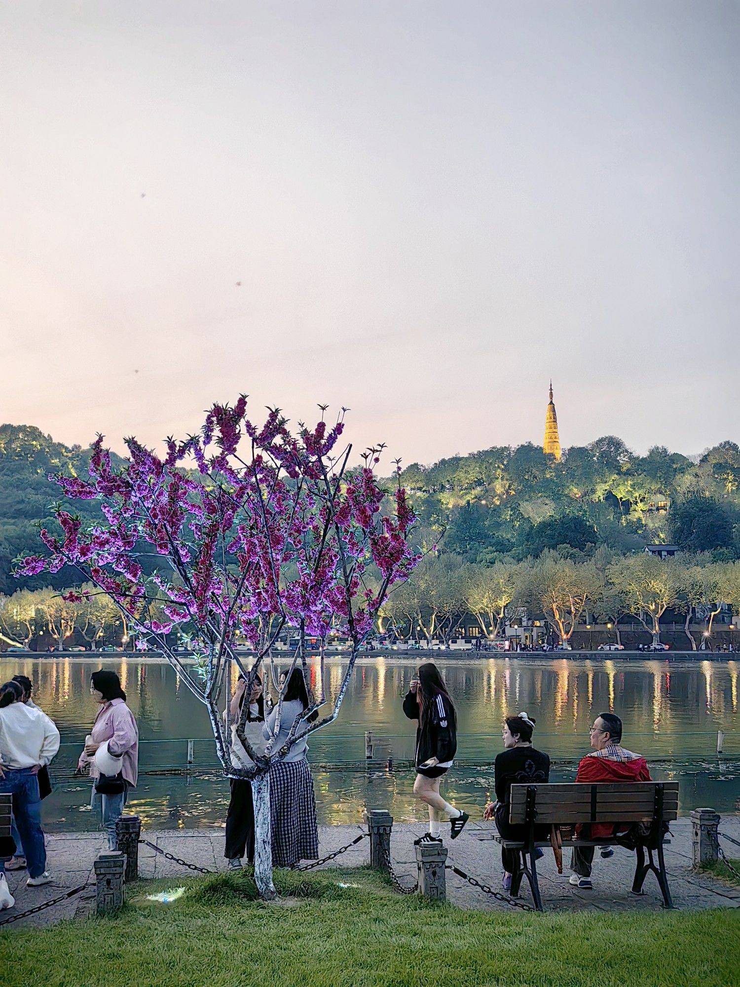 夜色中的新绿艳红～_2