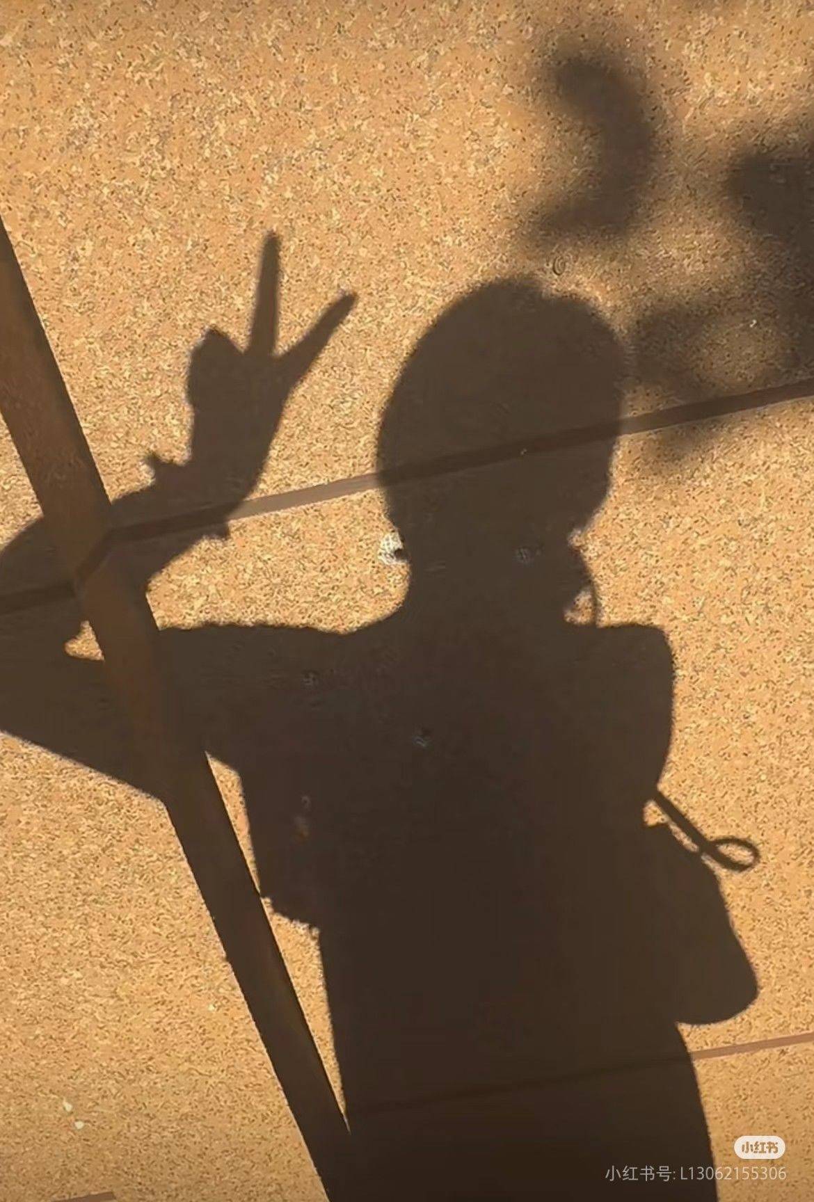 生活处处是风景