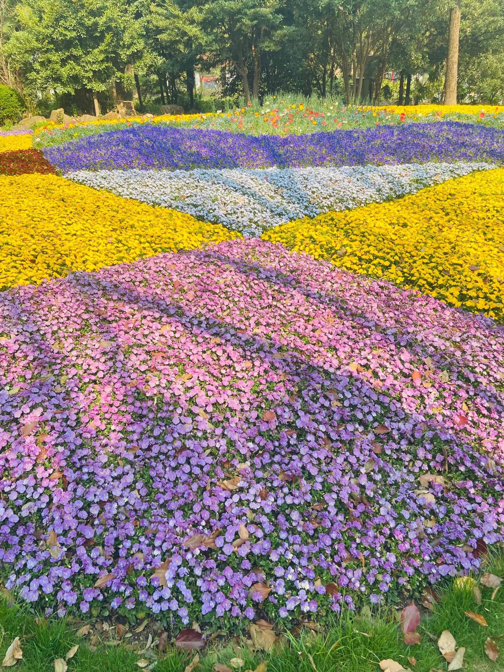 风和日丽 放松时刻_1