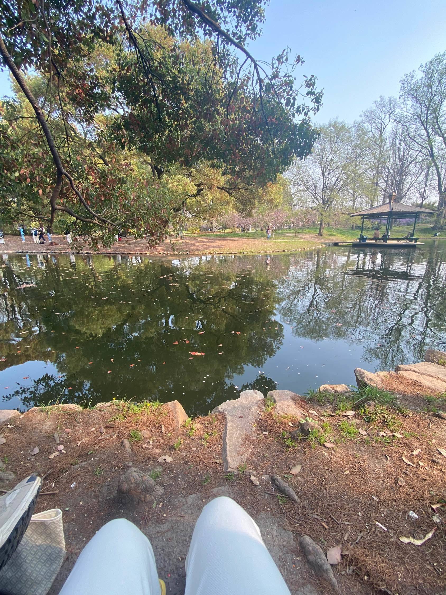 风和日丽 放松时刻_2