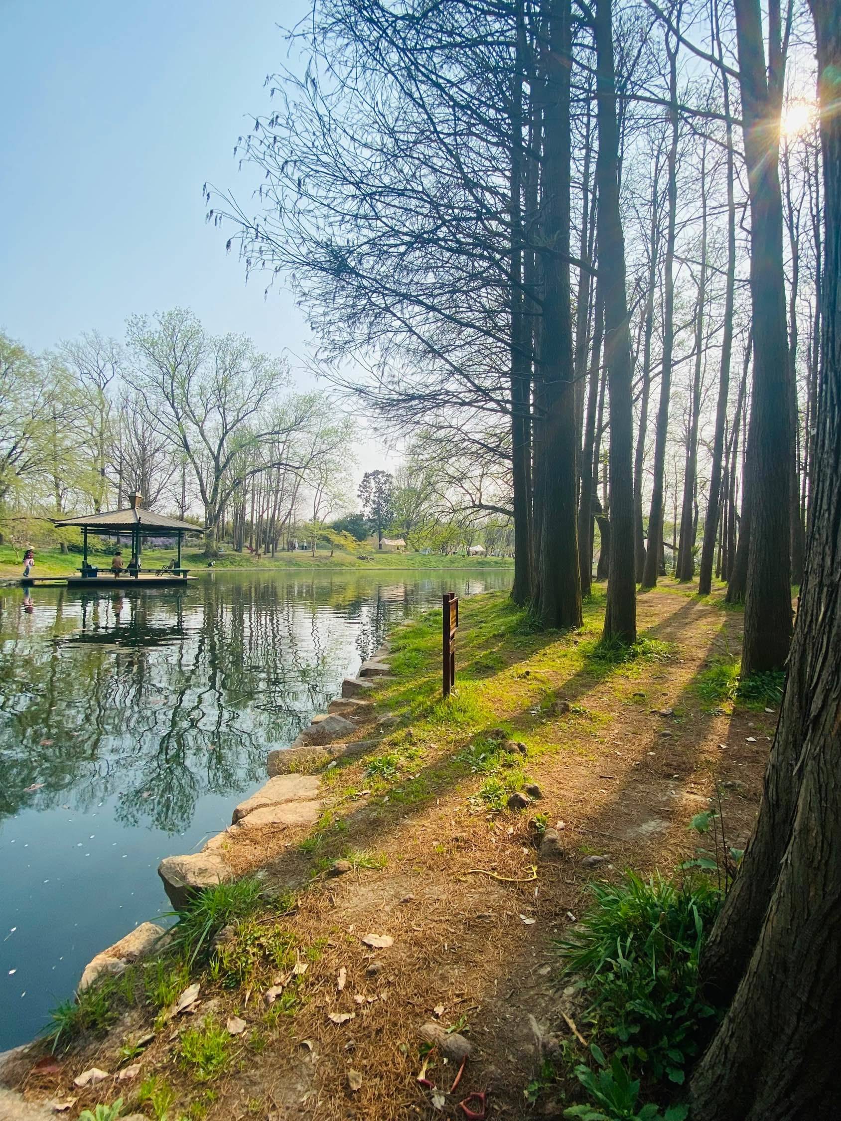 风和日丽 放松时刻_3