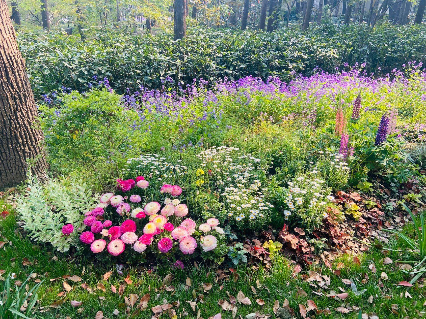 风和日丽 放松时刻