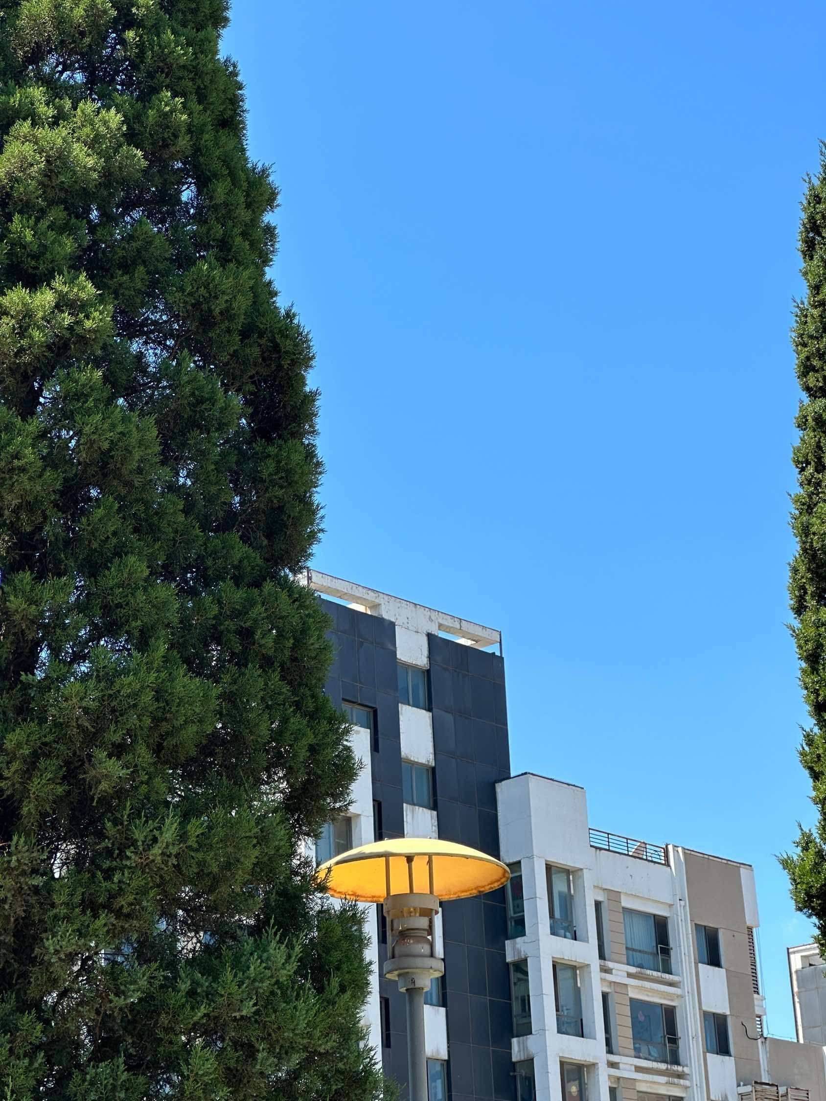 北京合租室友快到碗里来  在线等 仅限女_1